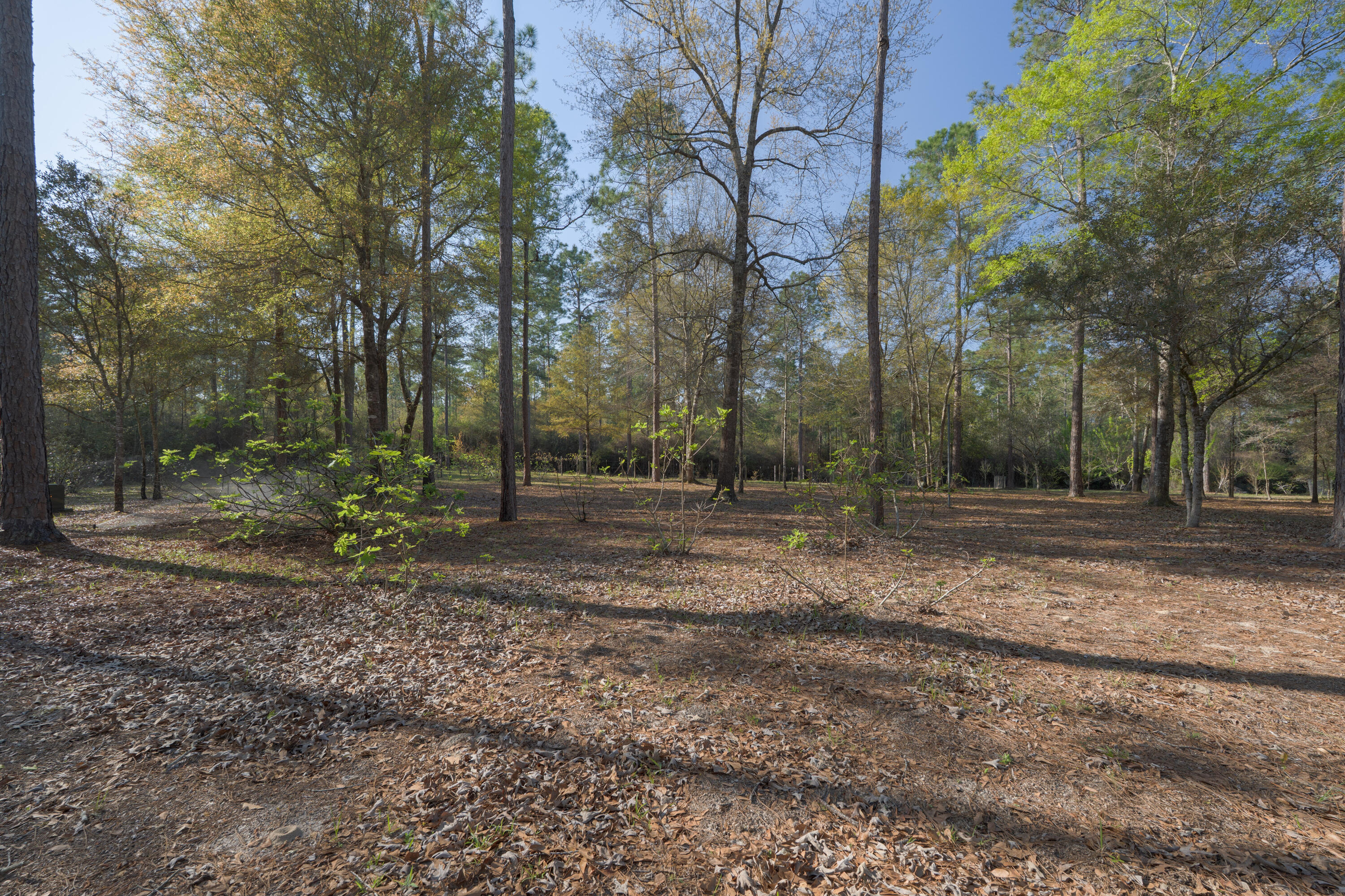 WALTON PLANTATION - Residential