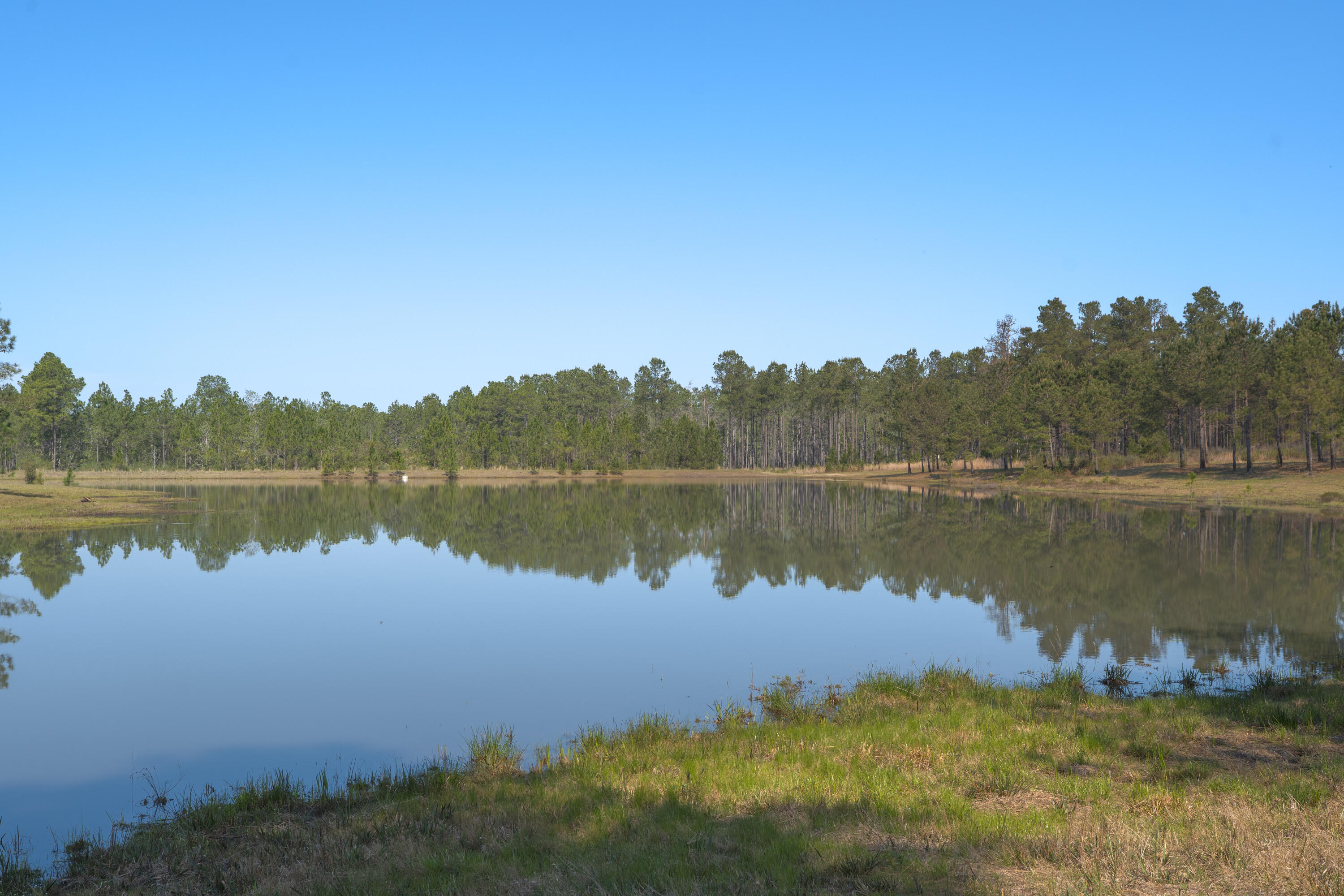 WALTON PLANTATION - Residential