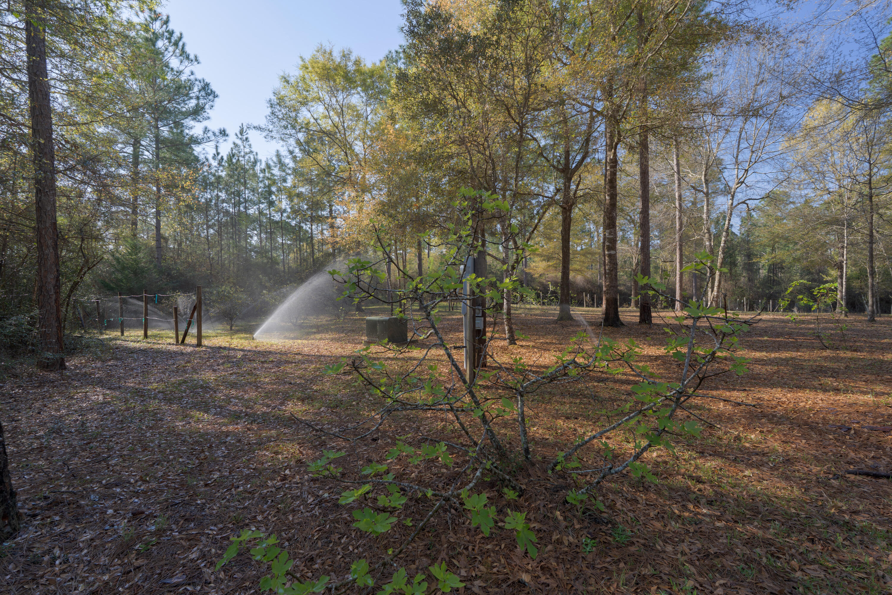 WALTON PLANTATION - Residential