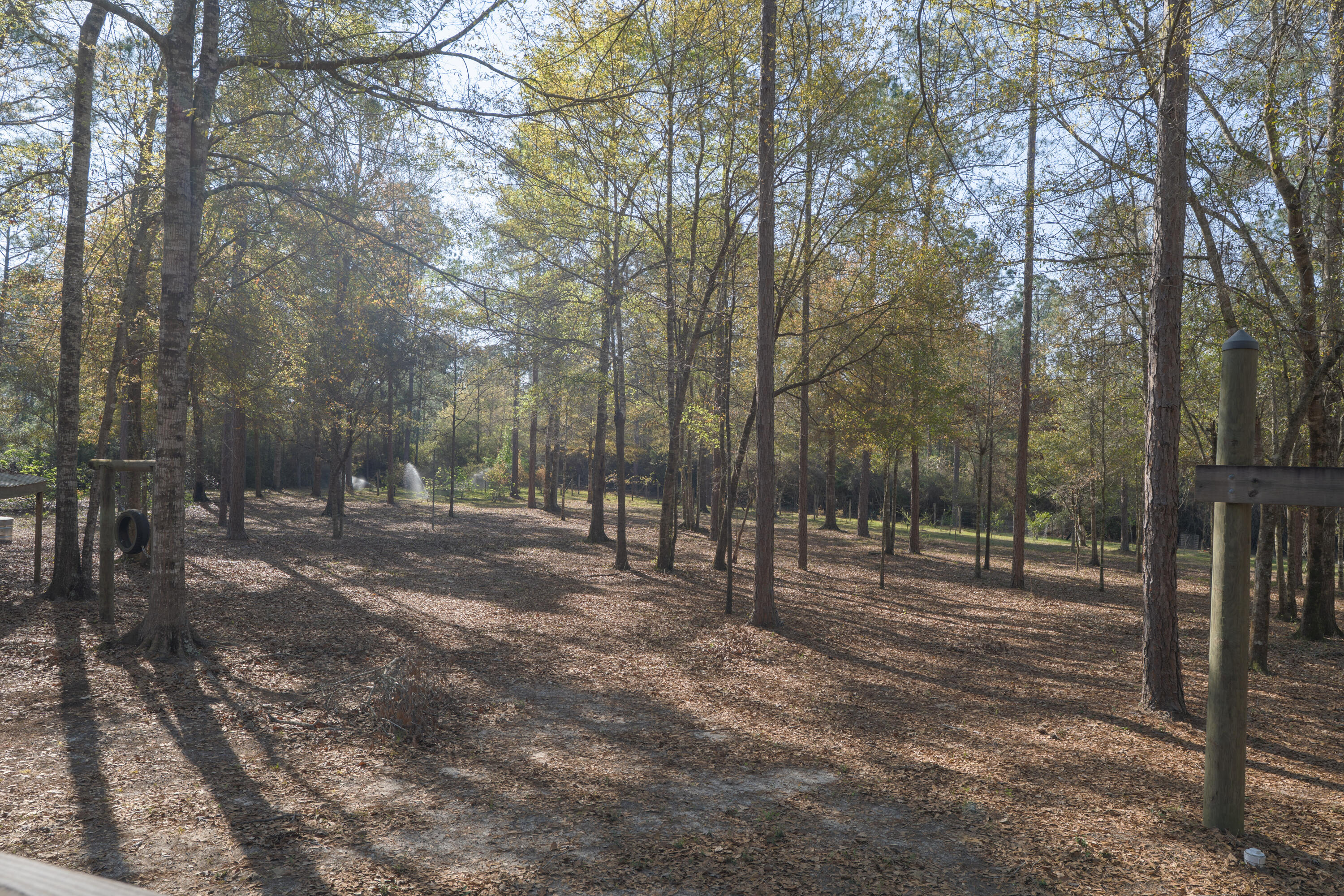 WALTON PLANTATION - Residential