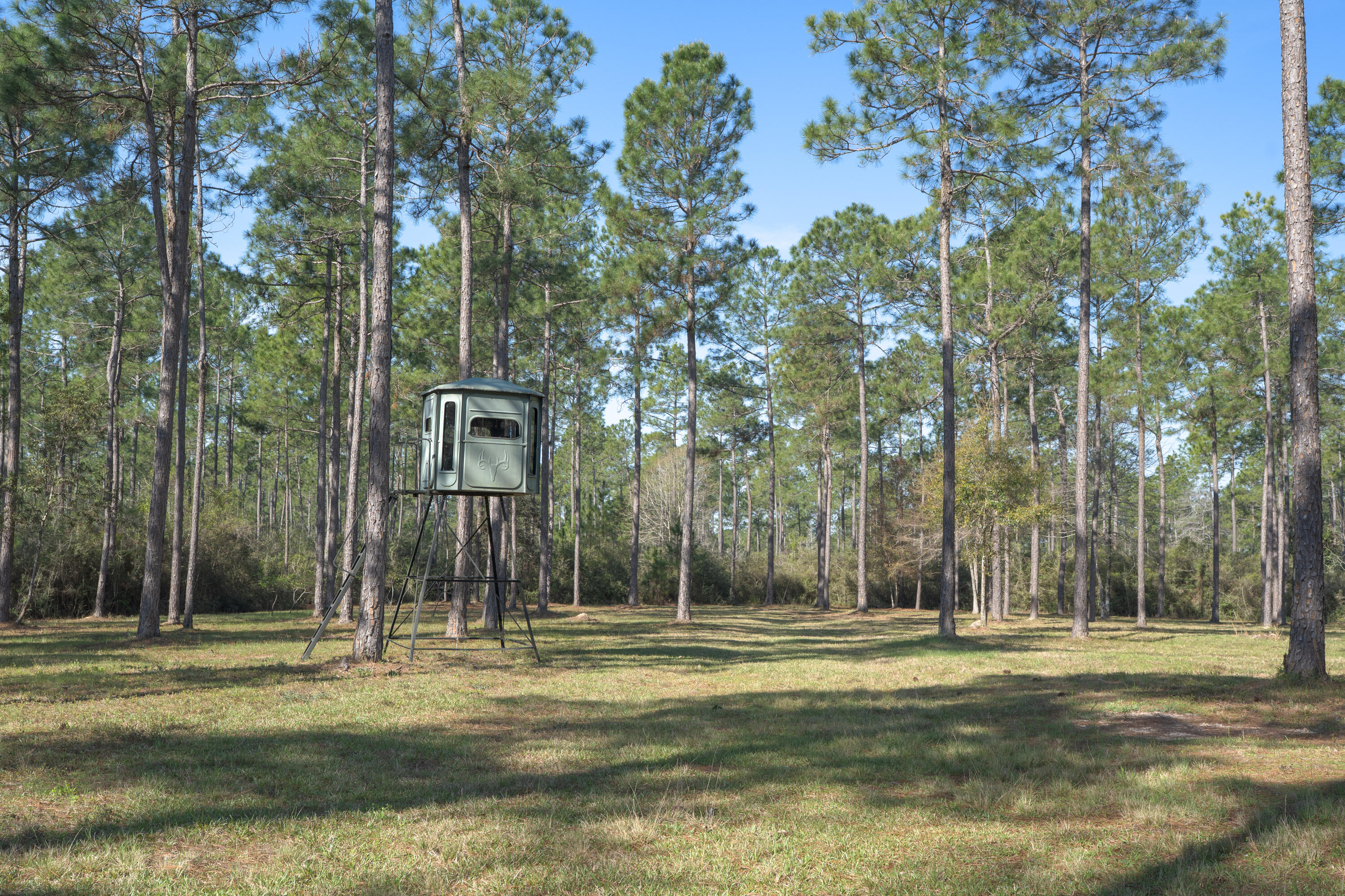 WALTON PLANTATION - Residential
