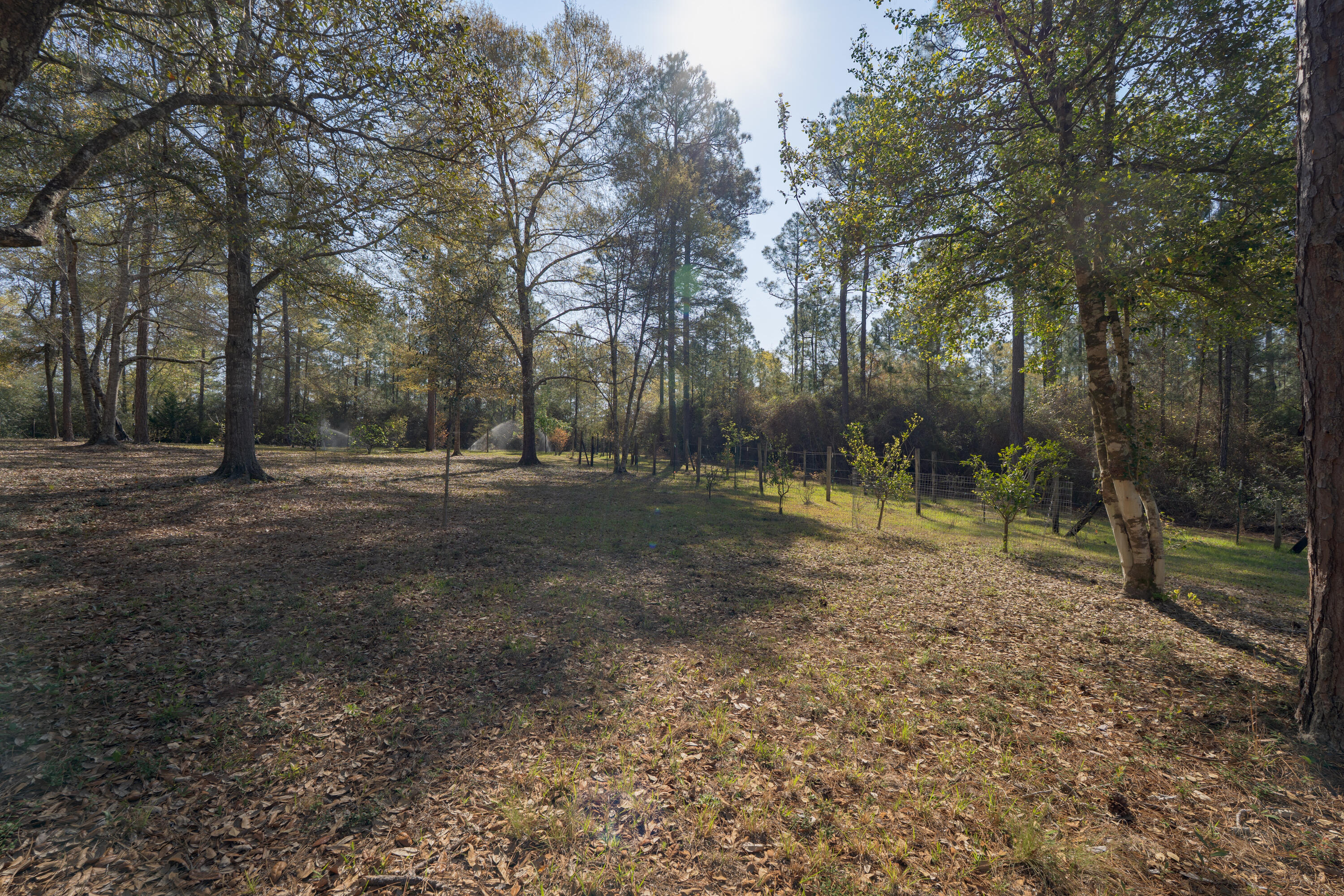 WALTON PLANTATION - Residential