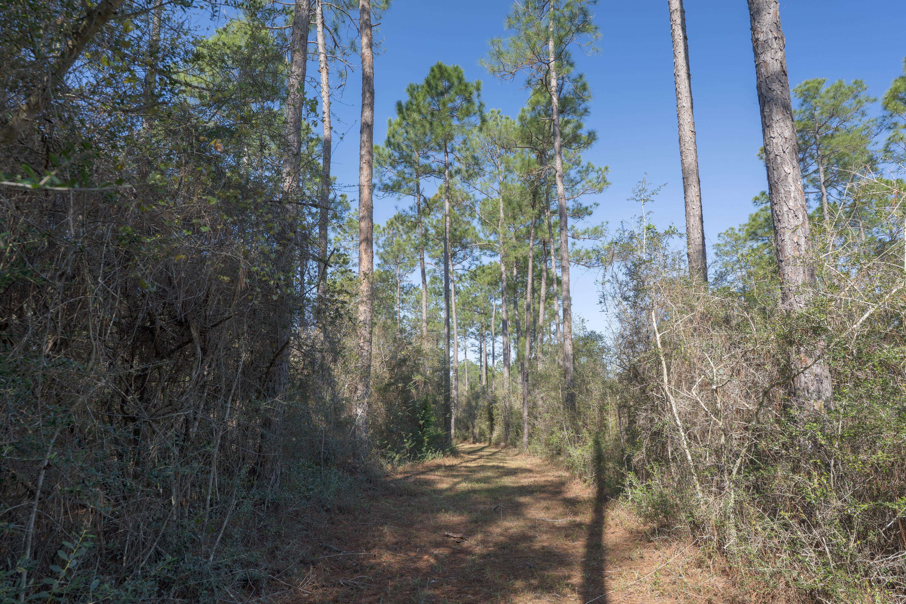 WALTON PLANTATION - Residential