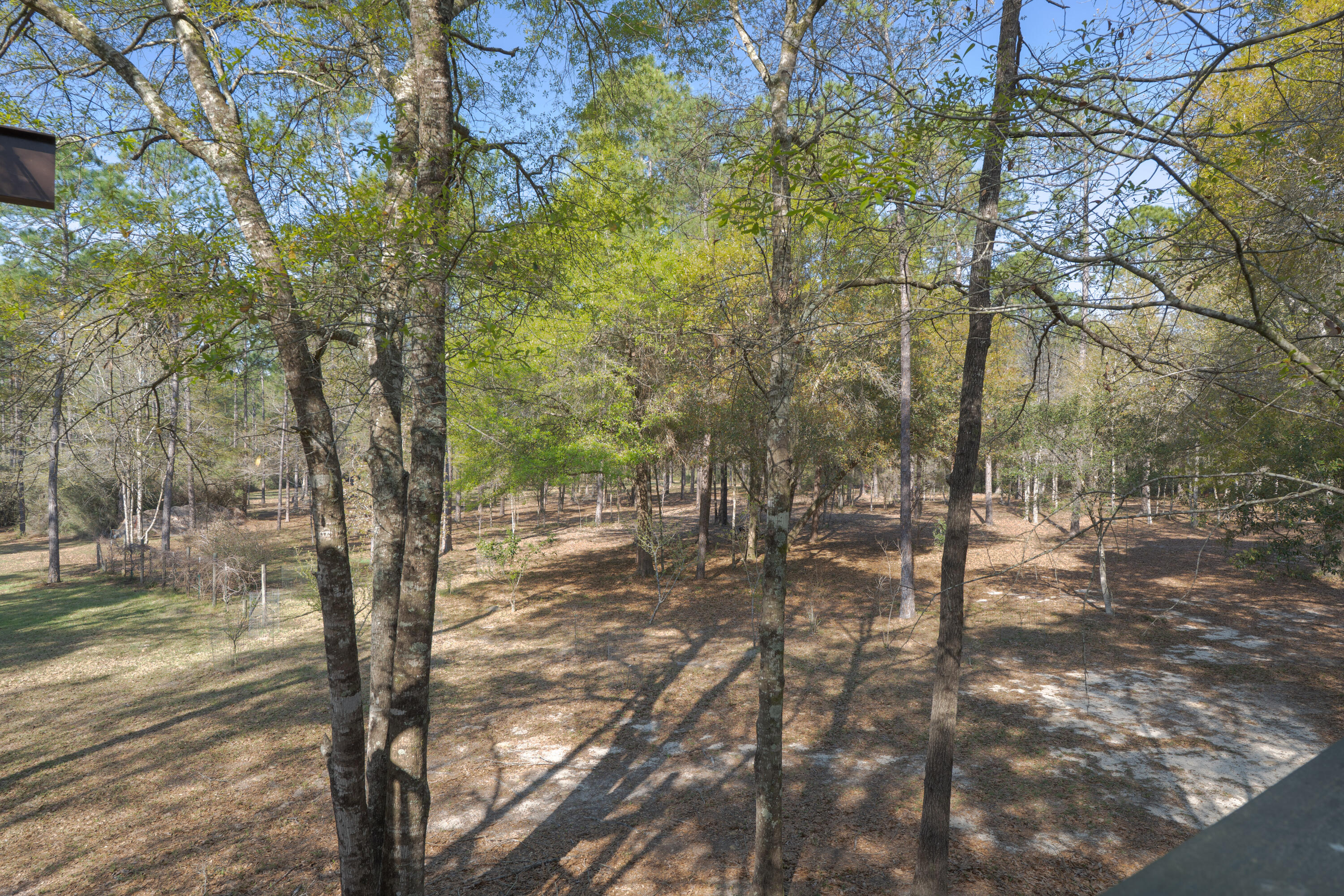 WALTON PLANTATION - Residential