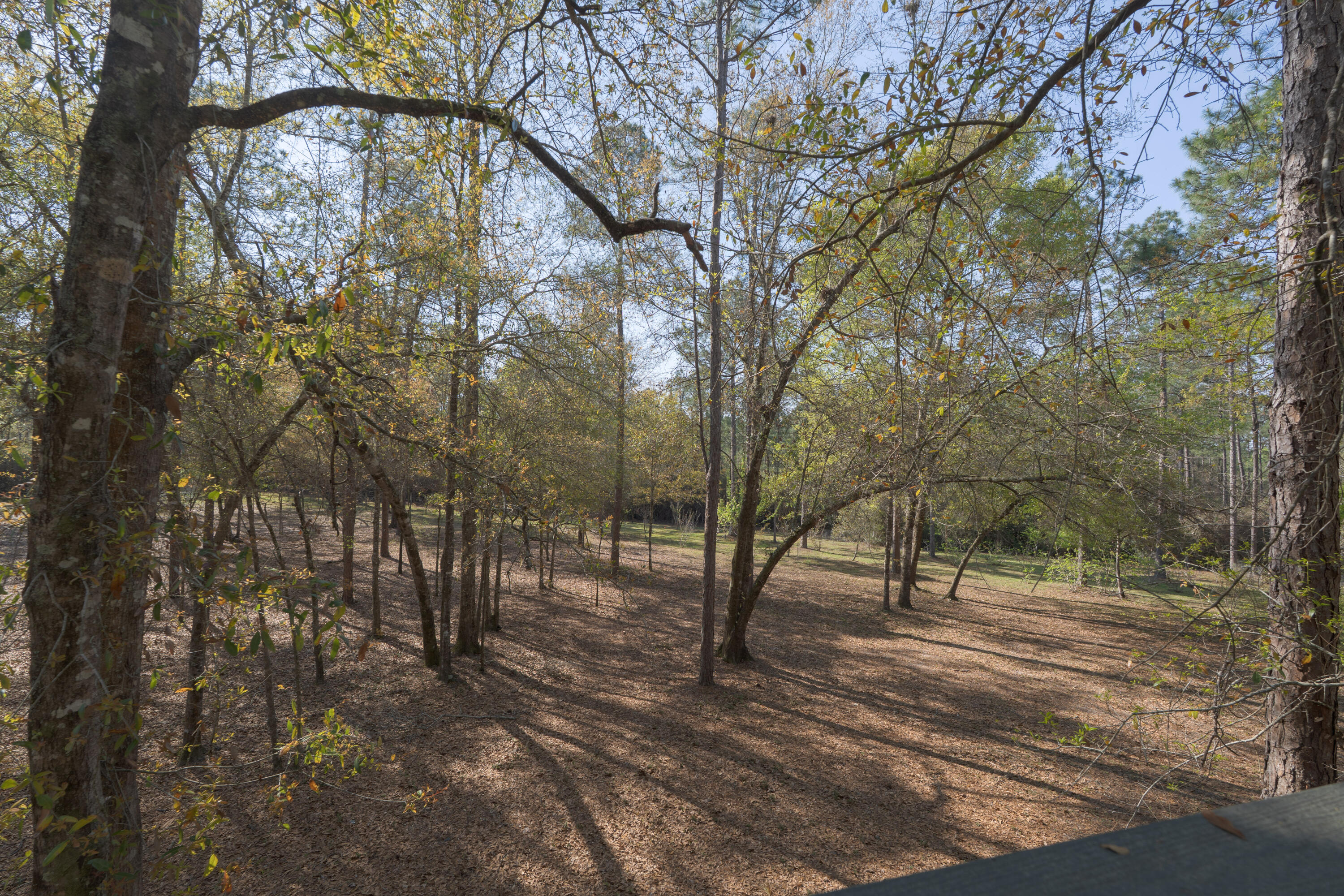 WALTON PLANTATION - Residential