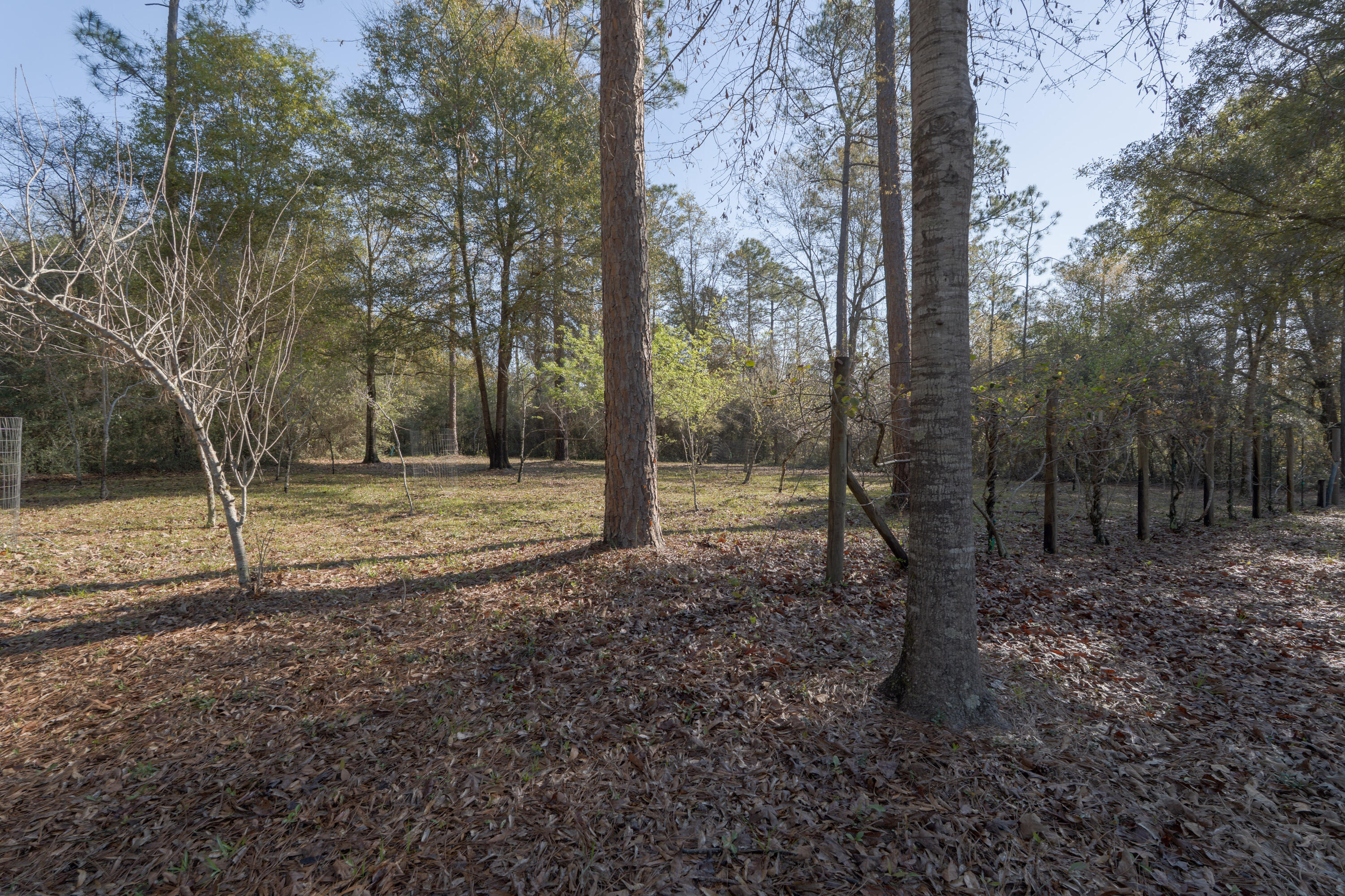 WALTON PLANTATION - Residential