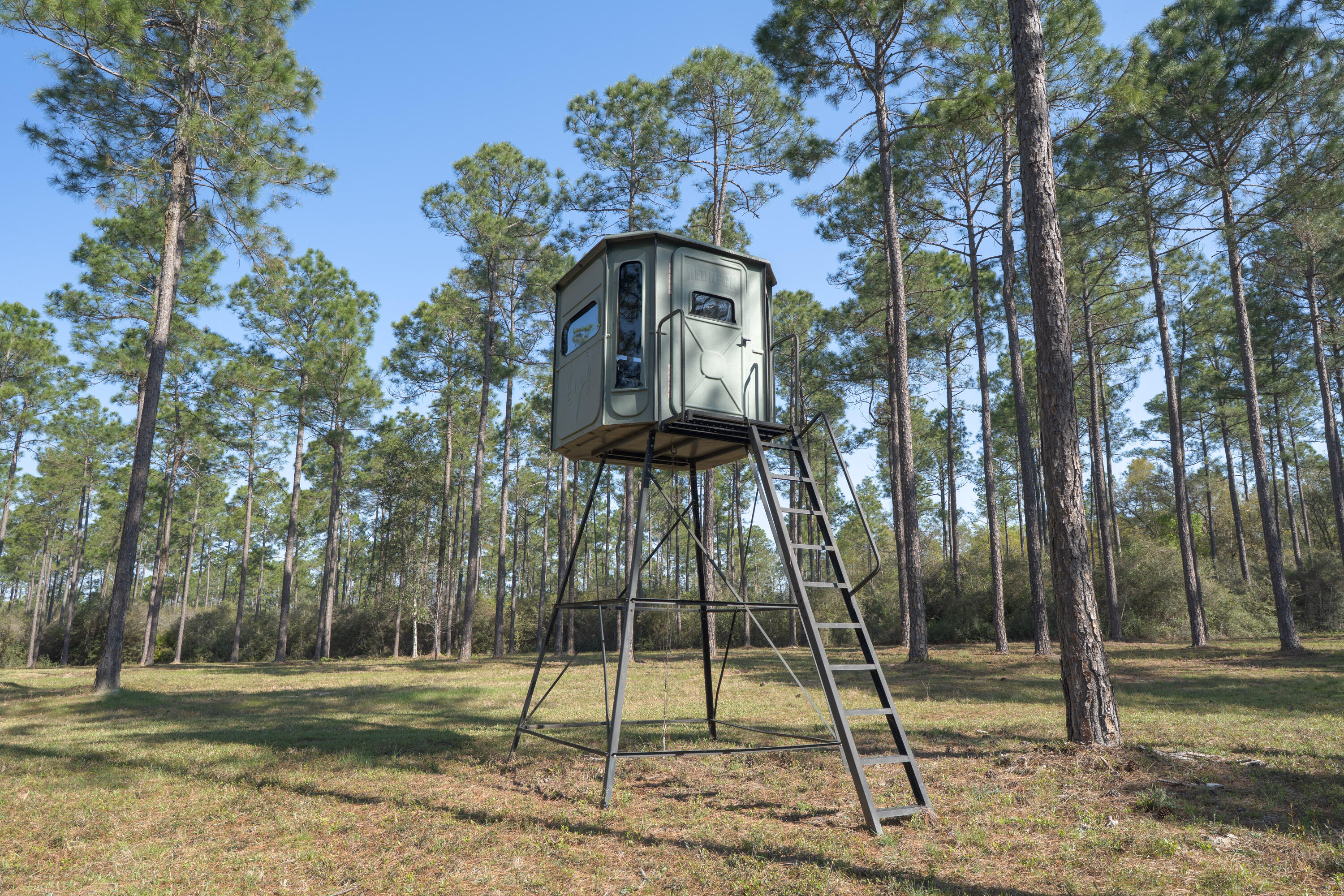 WALTON PLANTATION - Residential