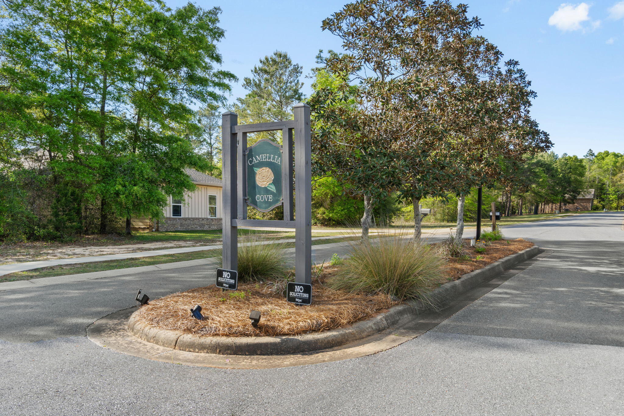 CAMELLIA COVE - Residential