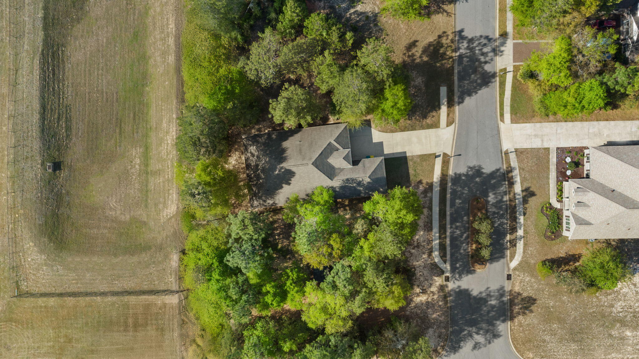 CAMELLIA COVE - Residential