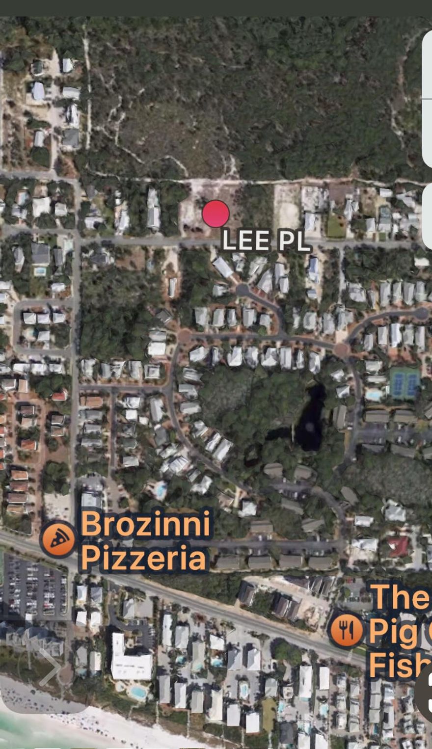 Parcel # 24-3S-19-25000-022-0000 (55ft x 198ft) is a cleared 1/4 acre vacant lot located on Lee Place in Seagrove Beach. Lee Place is a quiet street with no through traffic and a 6 minute stroll to the beach. A much sought after location, Seagrove is positioned in the middle of Scenic Hwy 30A and provides easy access to all the charming beach towns that 30A has to offer. Point Washington State Forest touches your backyard so your neighbors to the rear are grazing deer and beautiful trees. This part of Seagrove is approximately 30 ft above sea level, so no flood insurance required and no wetlands to address.  Lots of this size are increasingly hard to find and this one has no HOA. It's the perfect place to build your dream beach home and enjoy a magnificent sunset over the Gulf each day.