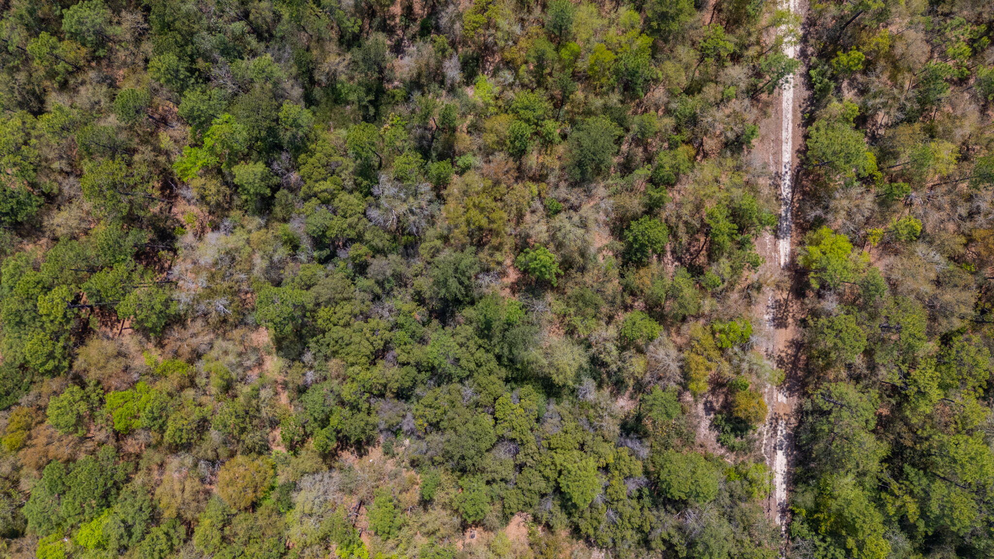 UNRECORDED SUBDIVISION - Land