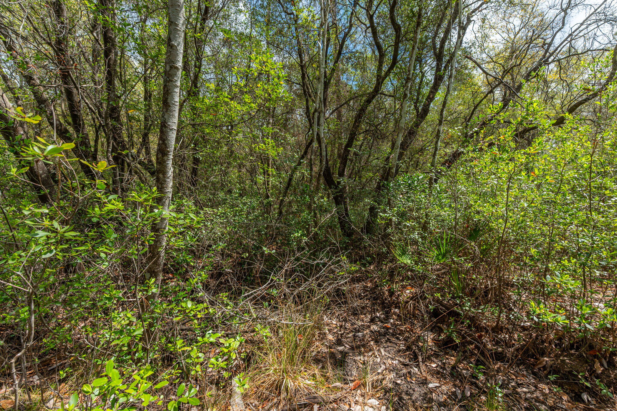 UNRECORDED SUBDIVISION - Land