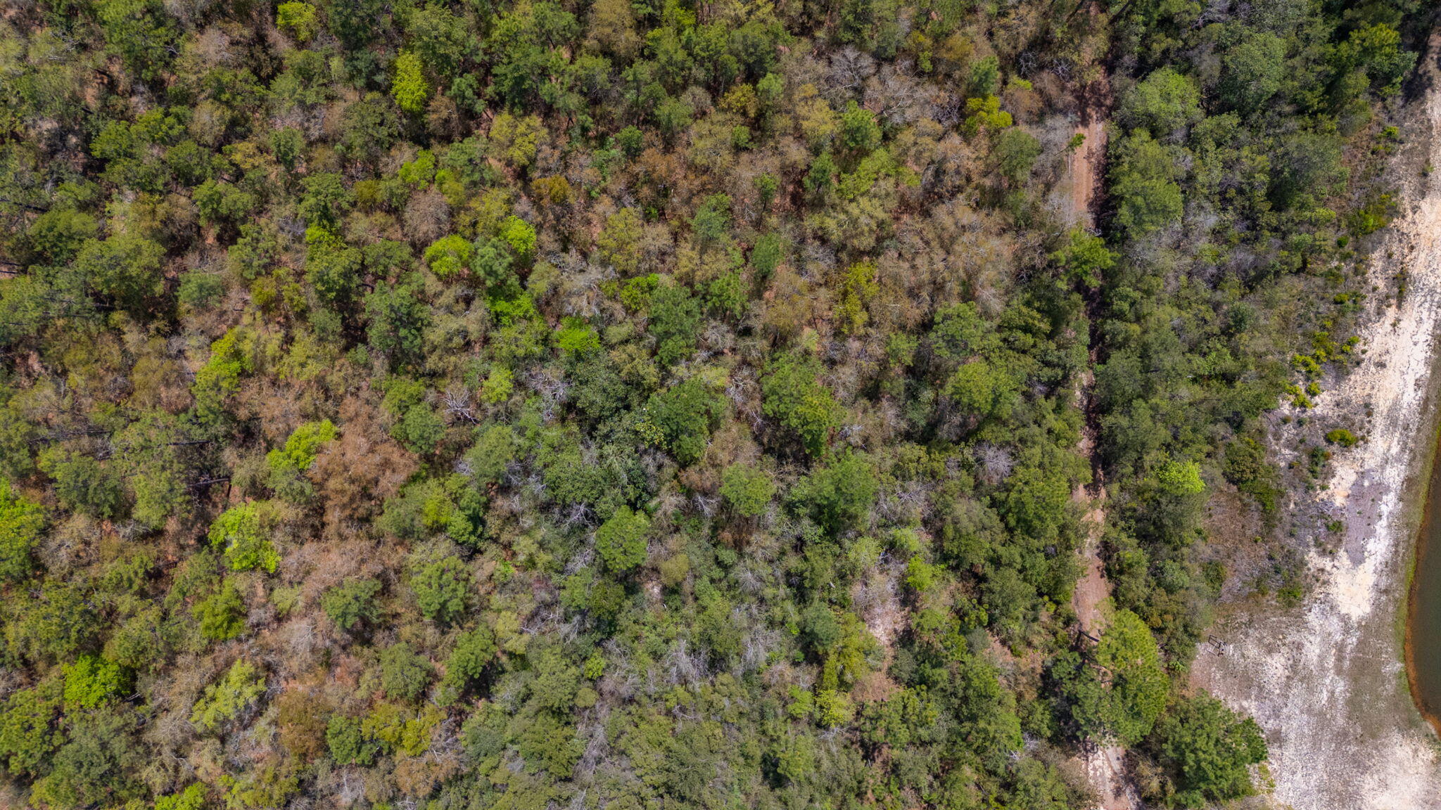 UNRECORDED SUBDIVISION - Land