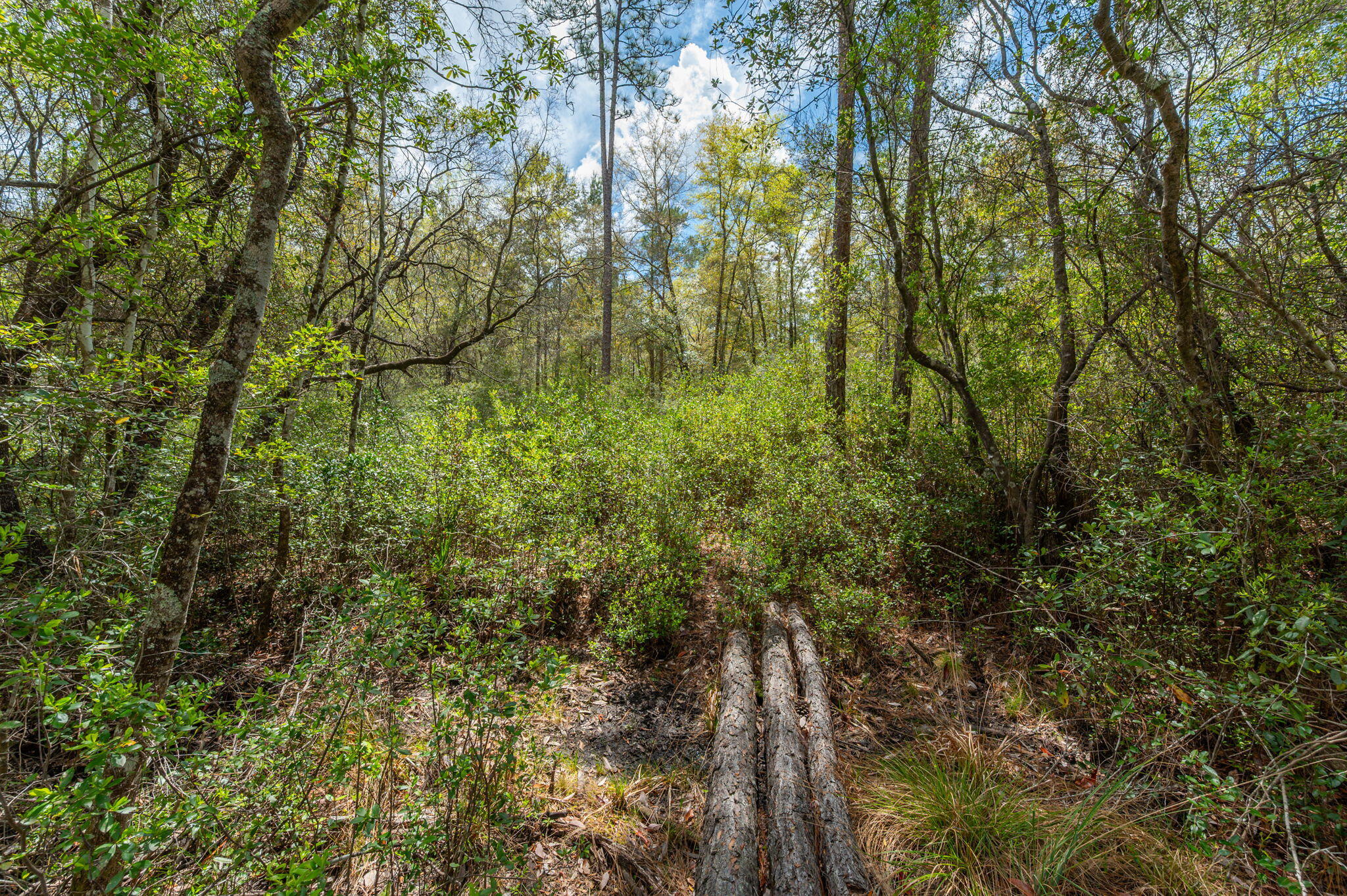 UNRECORDED SUBDIVISION - Land