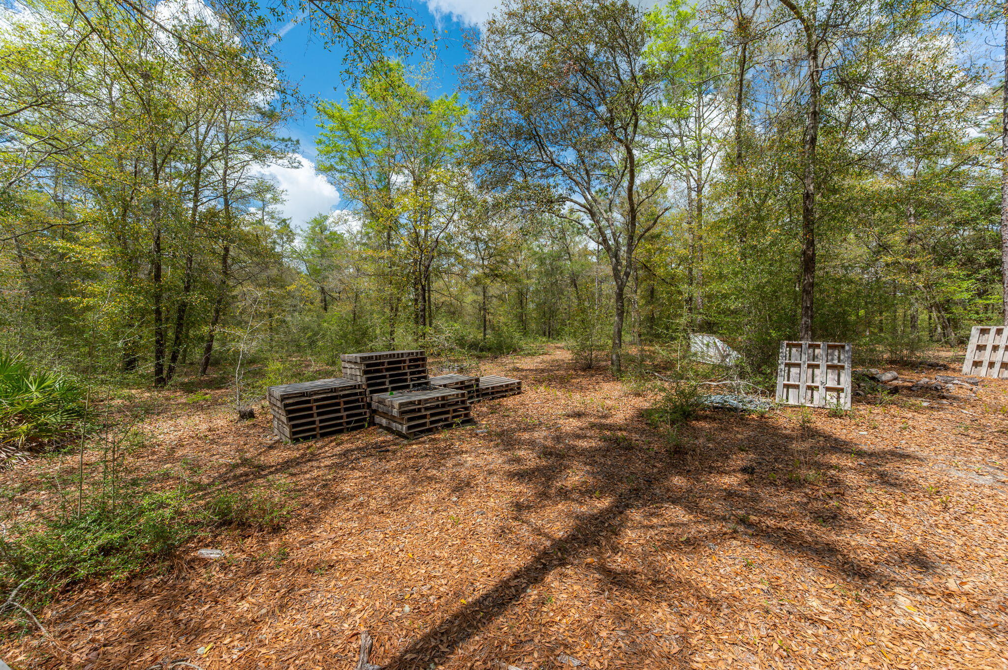 UNRECORDED SUBDIVISION - Land