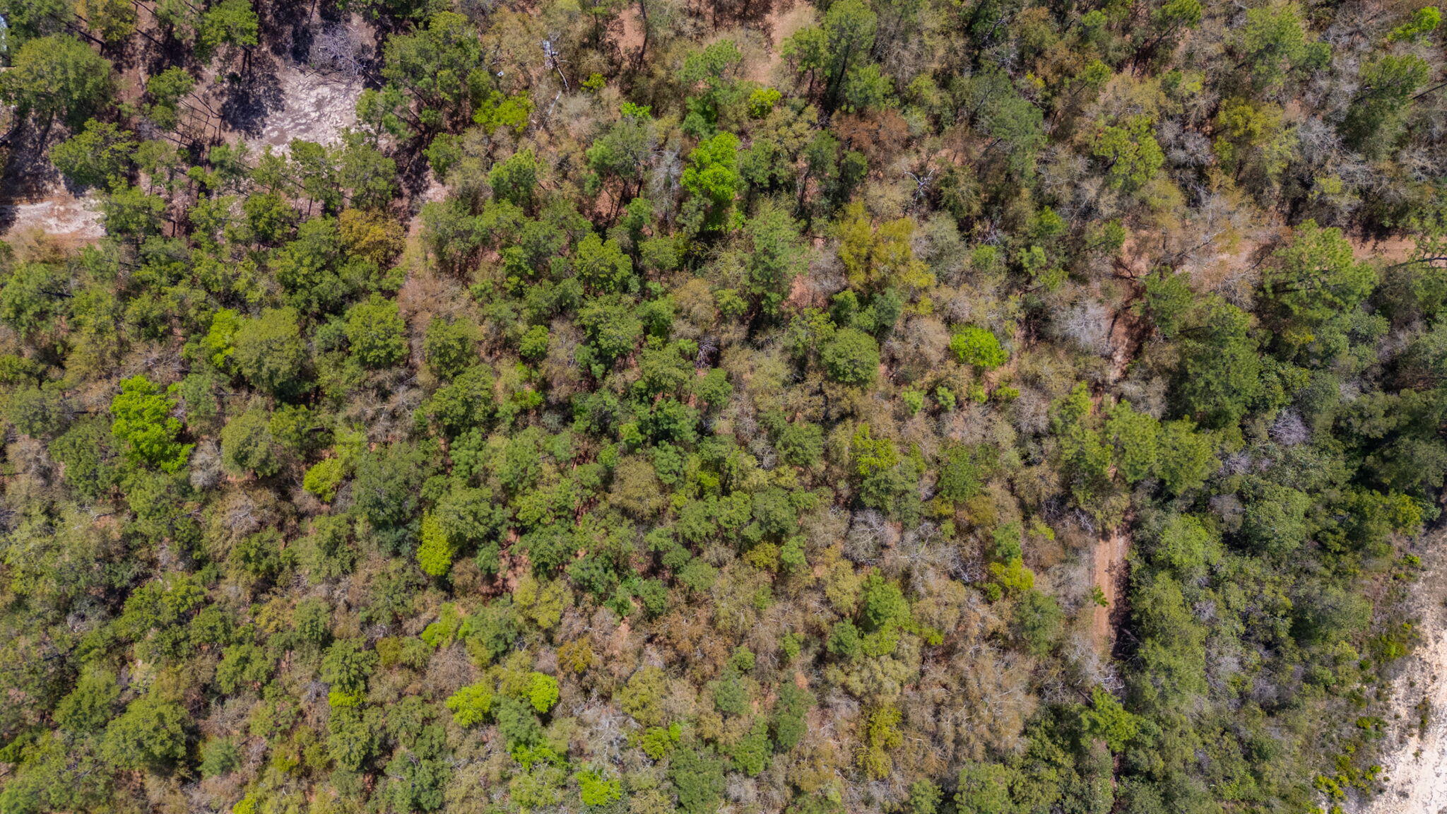 UNRECORDED SUBDIVISION - Land