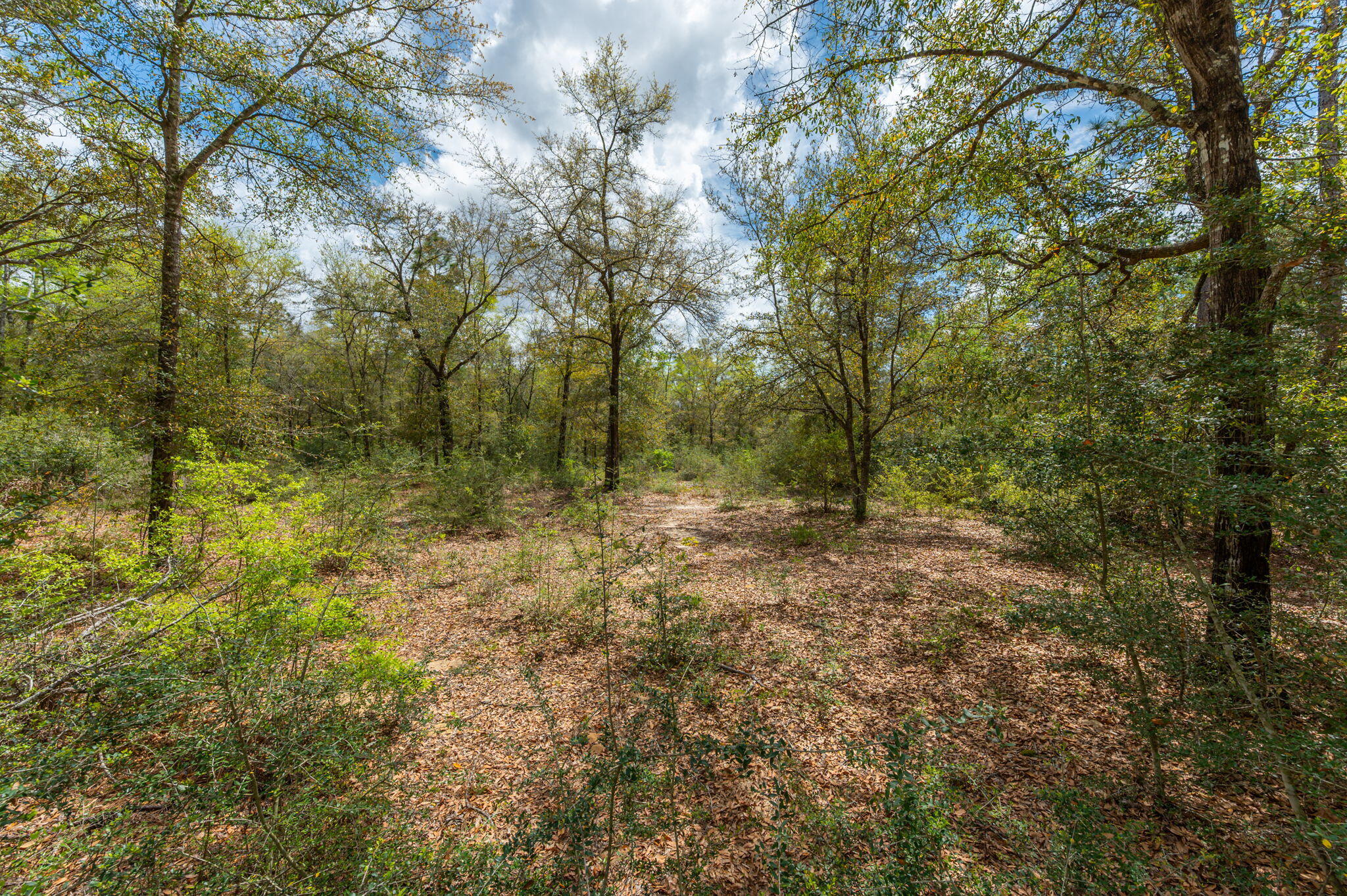 UNRECORDED SUBDIVISION - Land