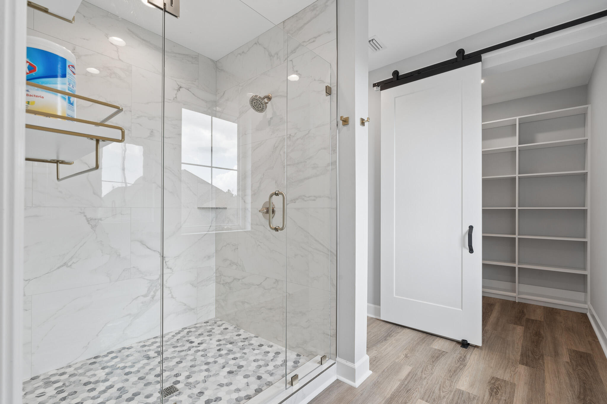 Lake Merial - Residential