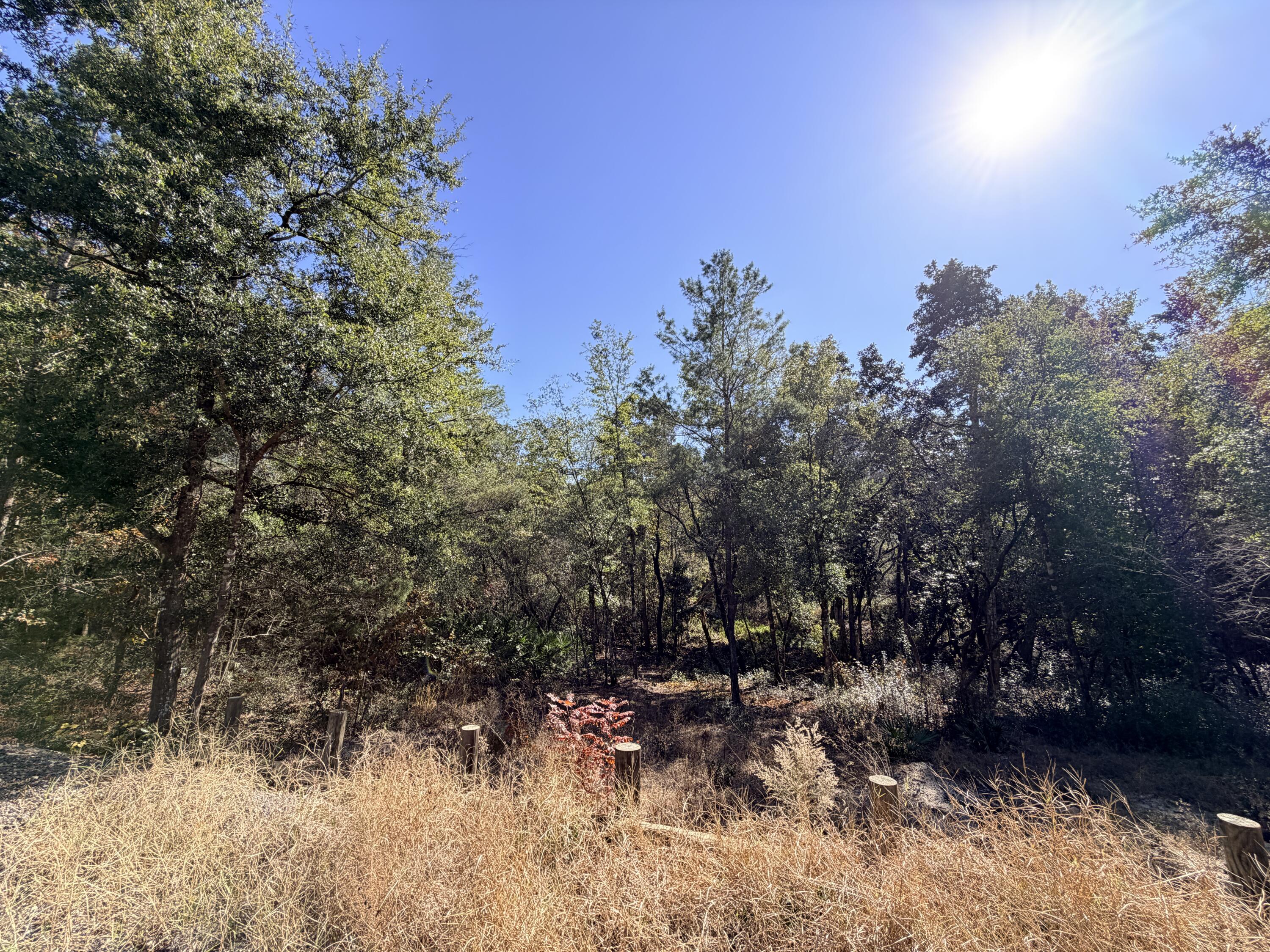 Elmwood Plantation - Land