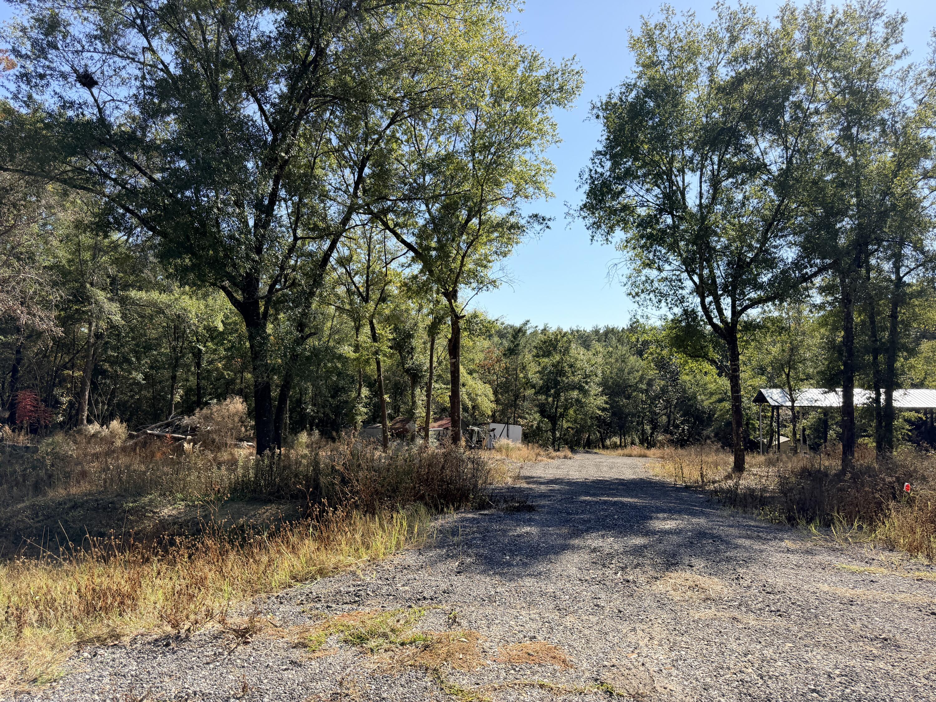 Elmwood Plantation - Land