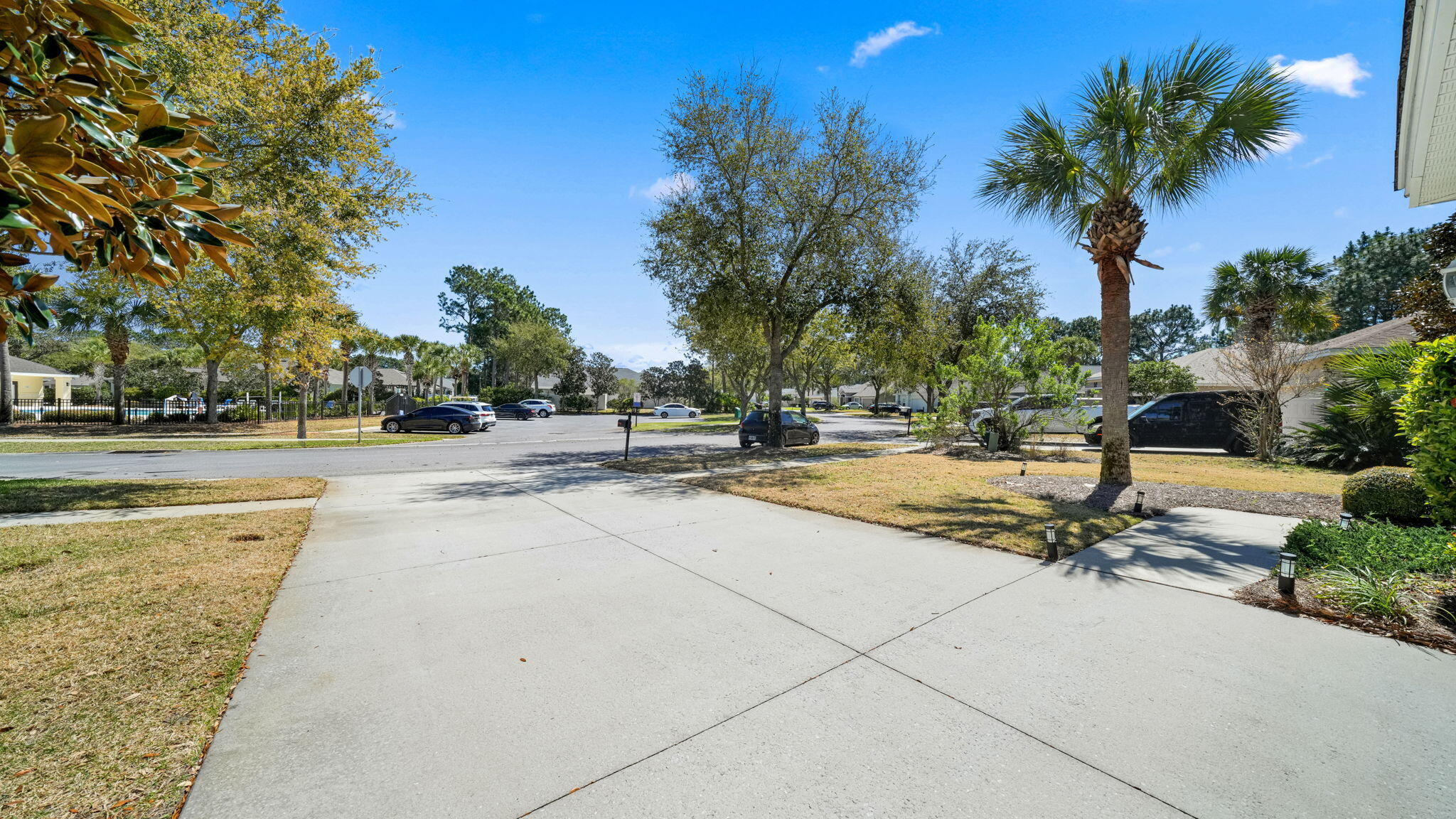 Palmetto Trace - Residential