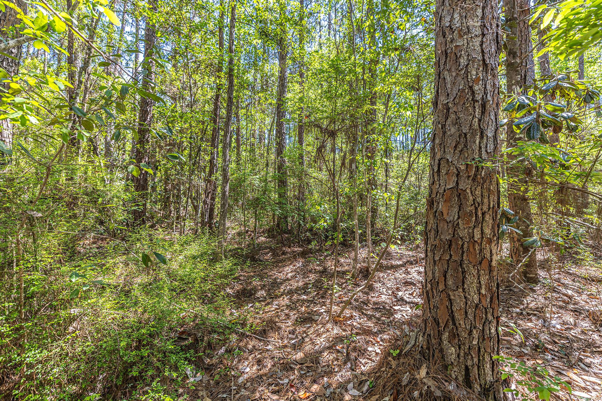 NO RECORDED SUBDIVISION - Land