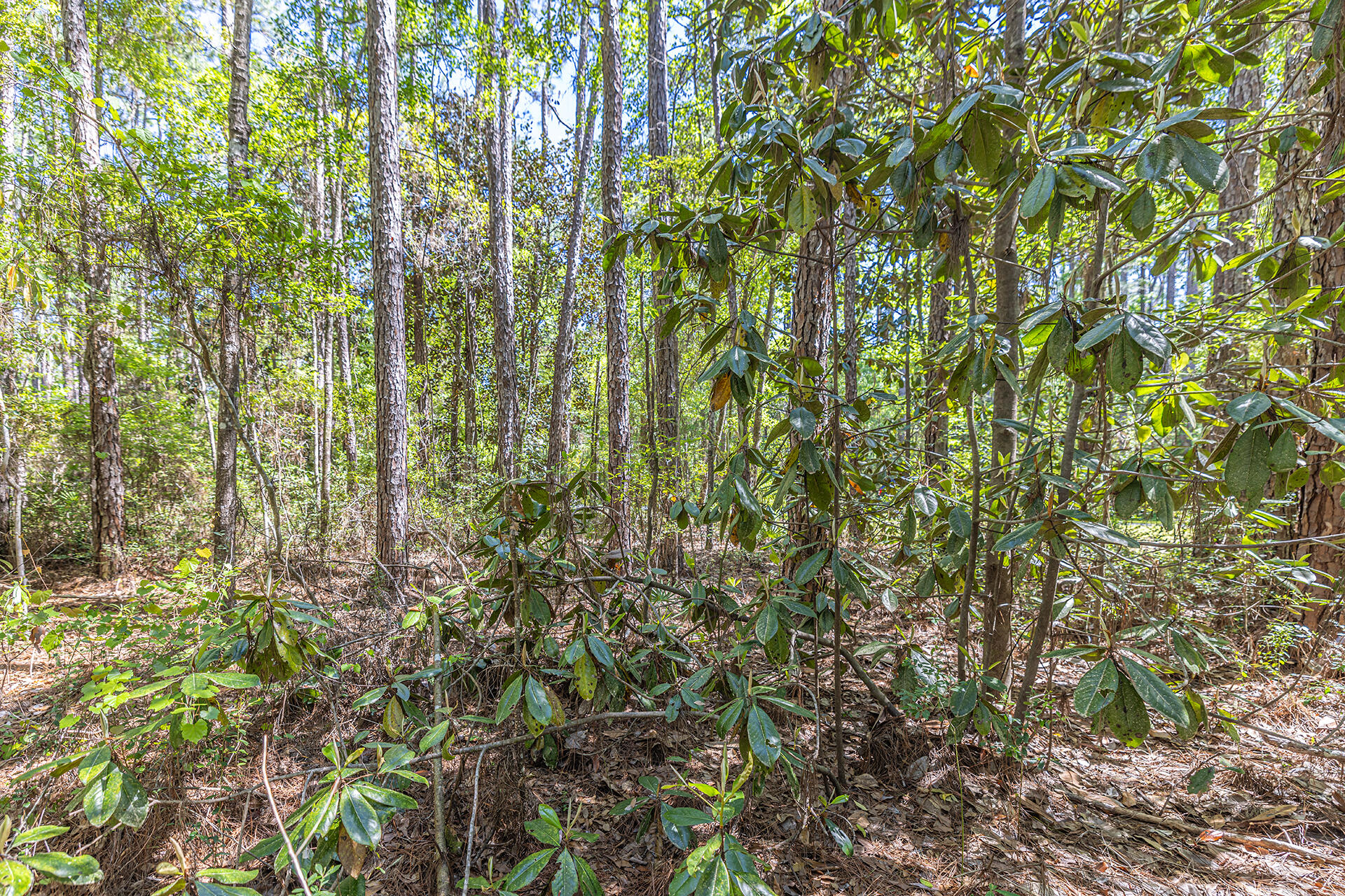 NO RECORDED SUBDIVISION - Land