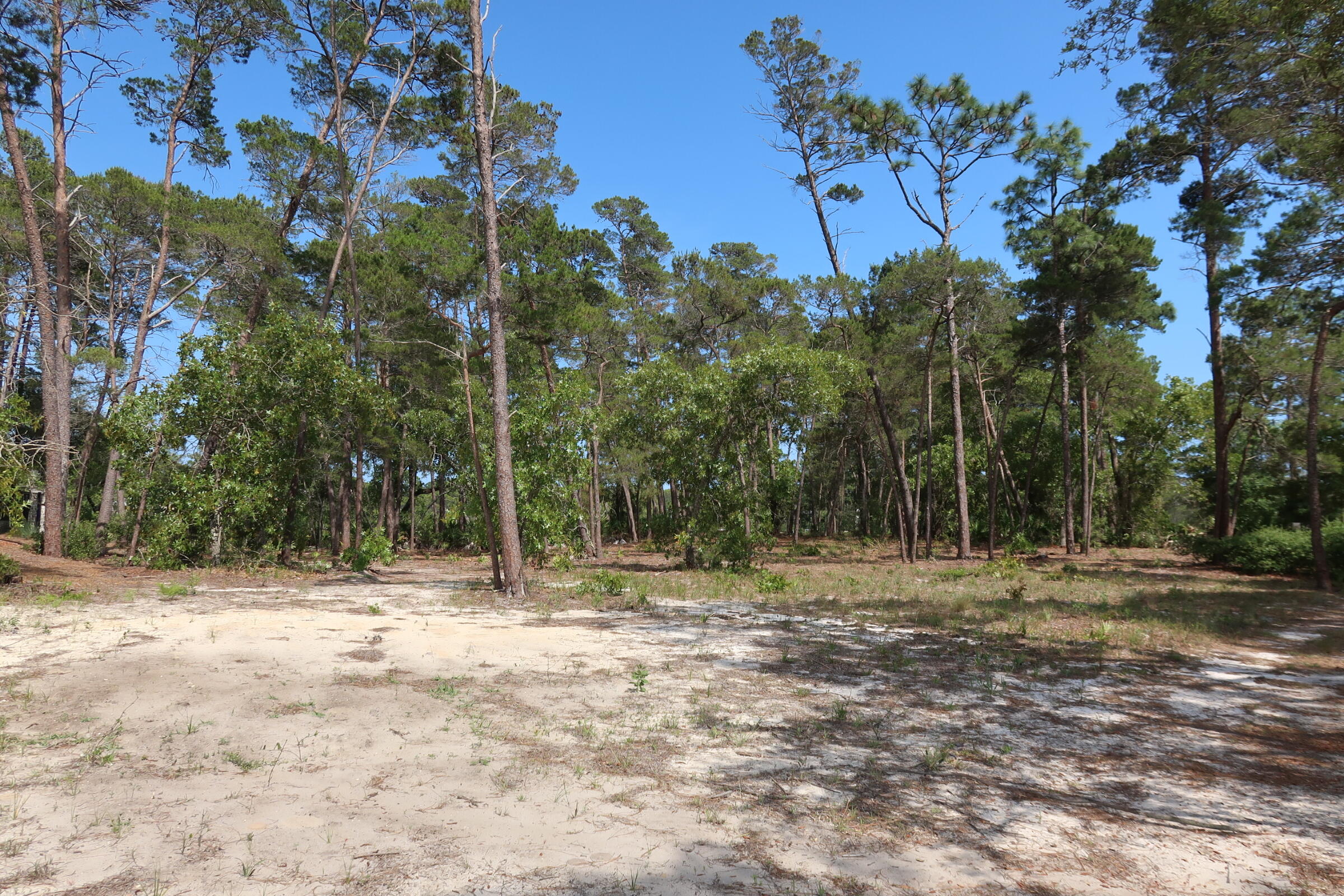 WILD HERON PHASE I - Land