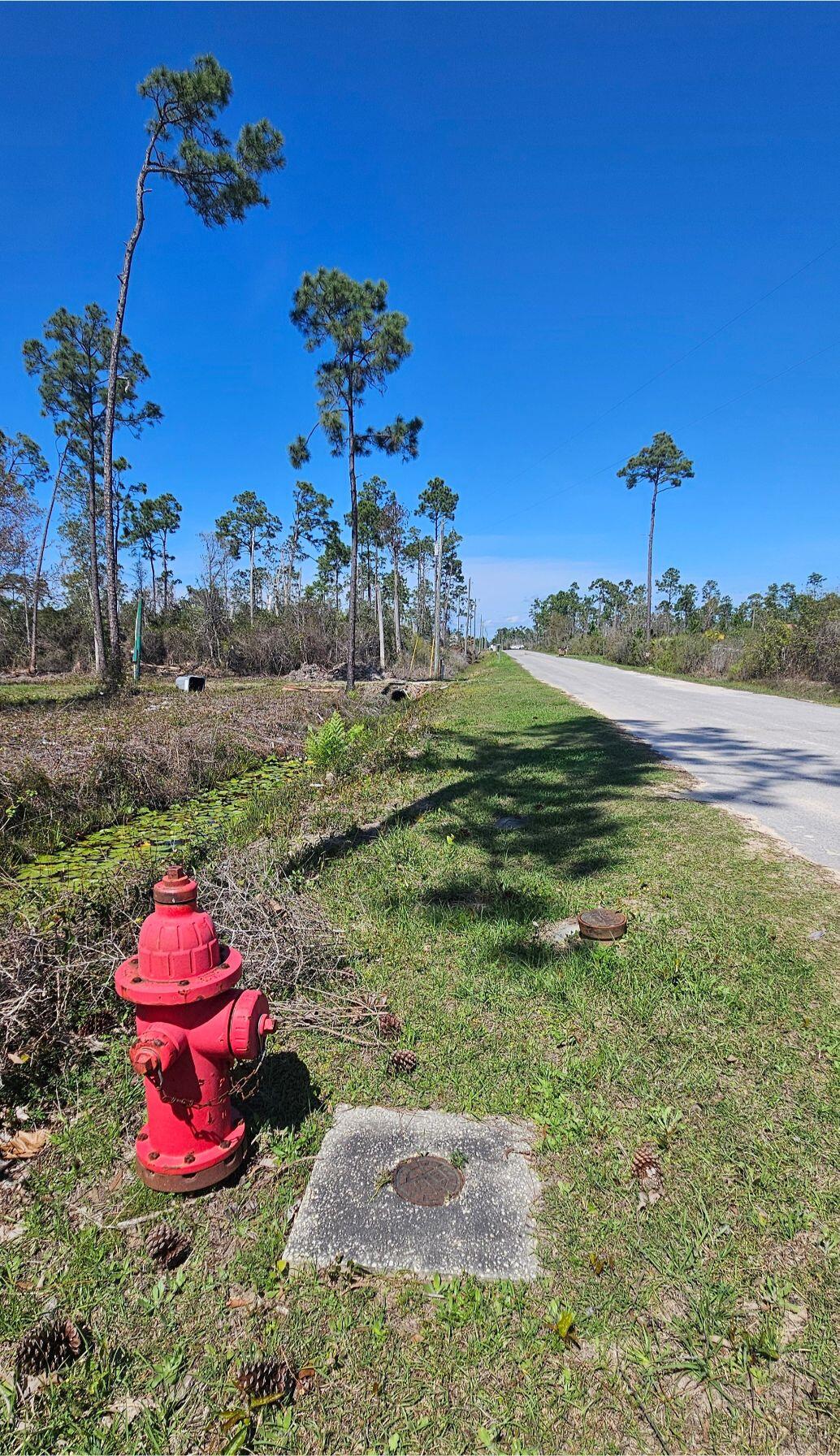 Sunshine Farms - Land