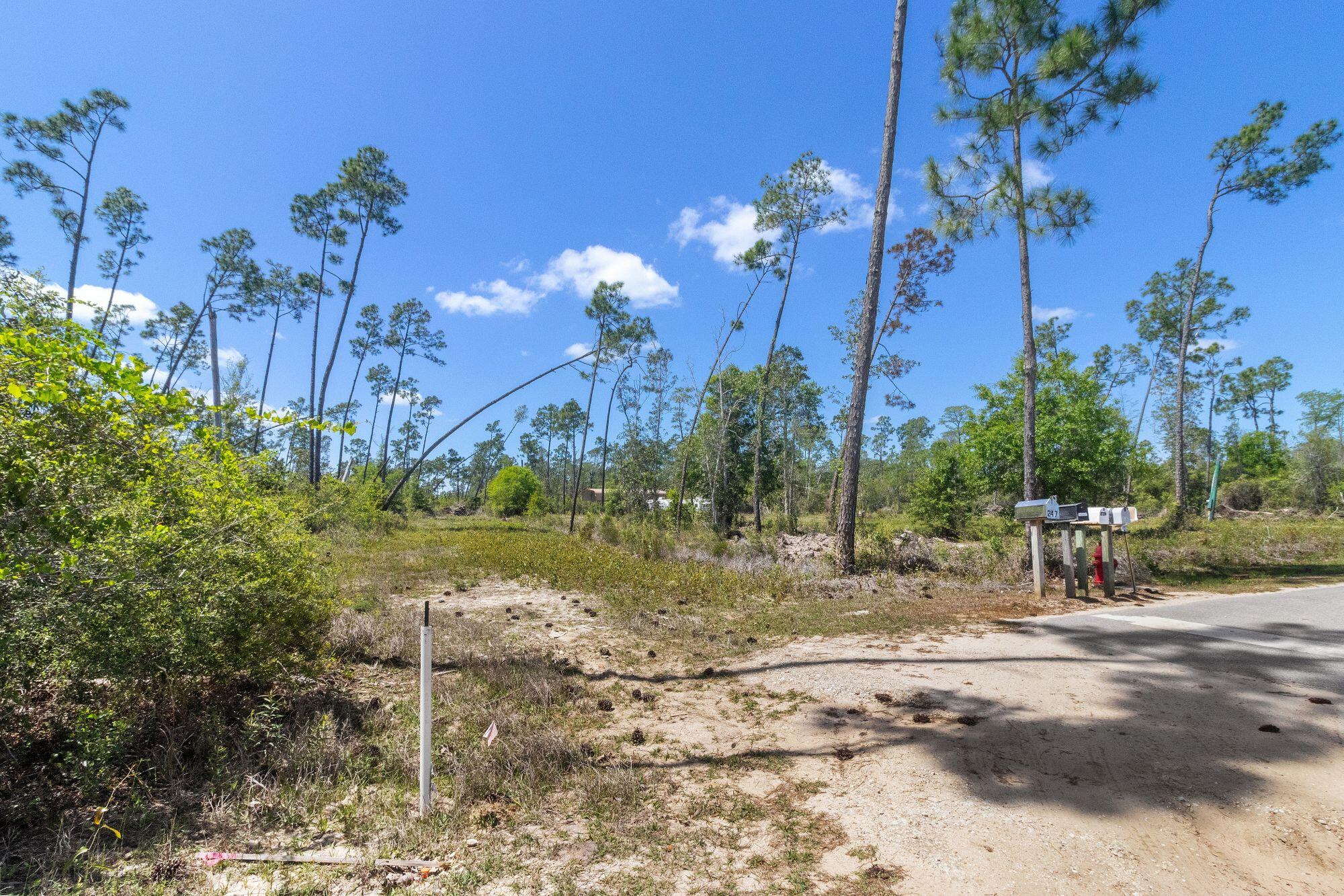 Sunshine Farms - Land