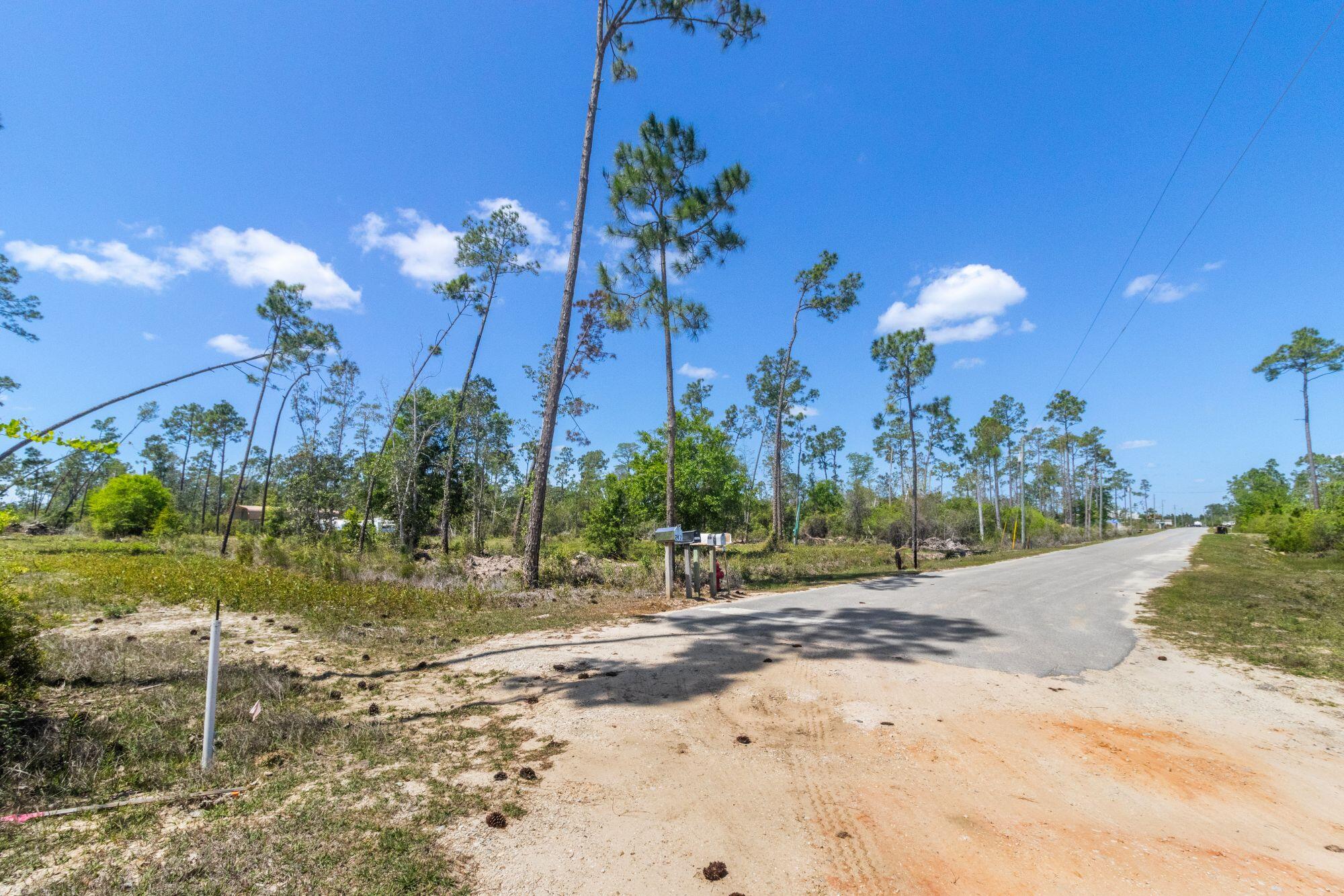 Sunshine Farms - Land