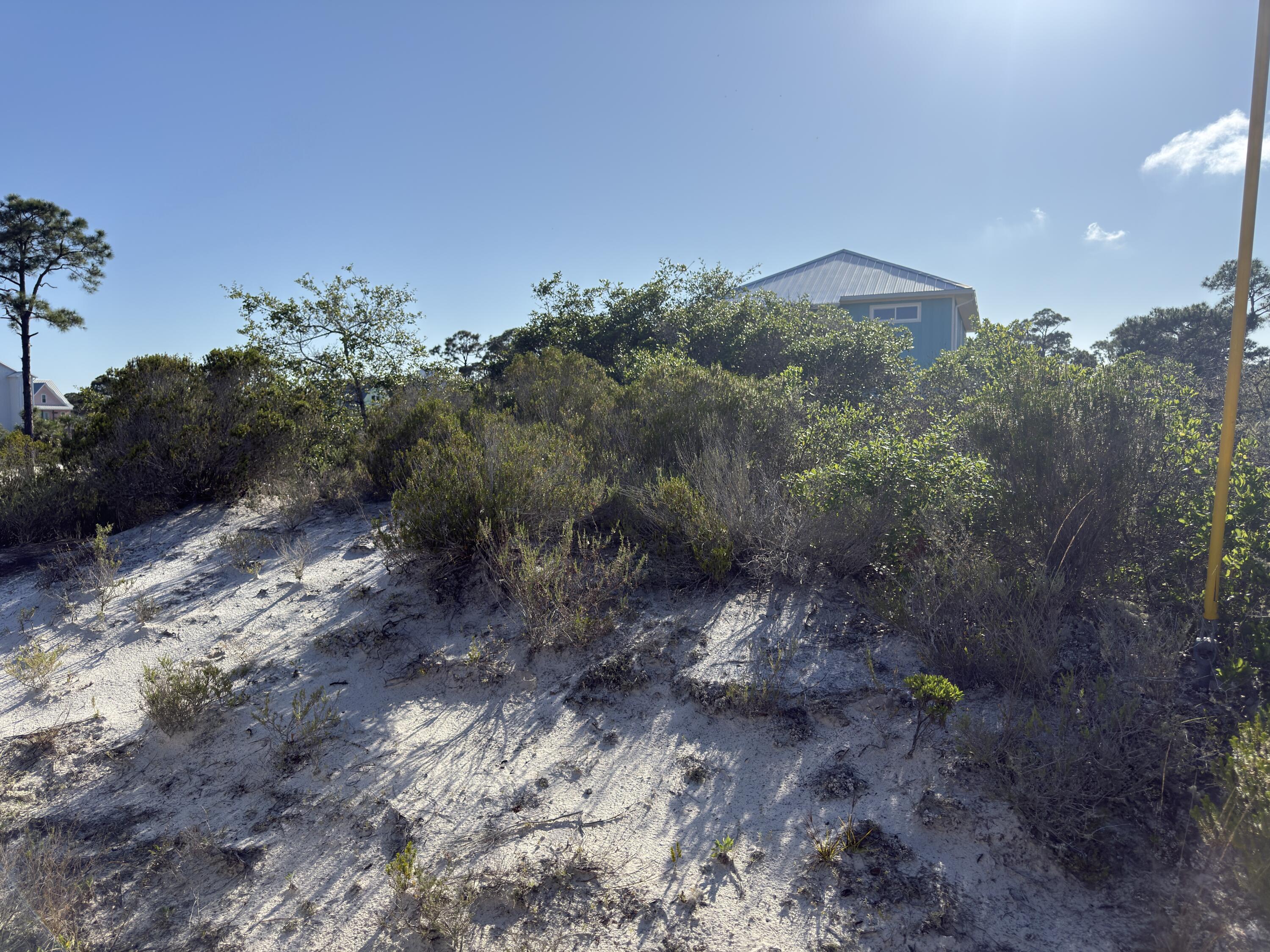 105 Sand Trace Drive