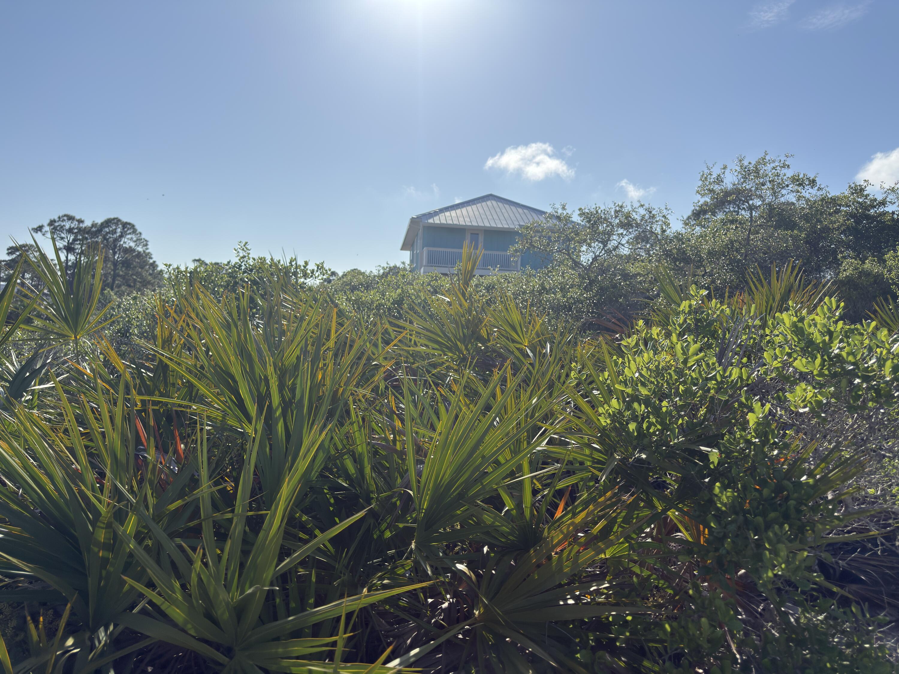 105 Sand Trace Drive