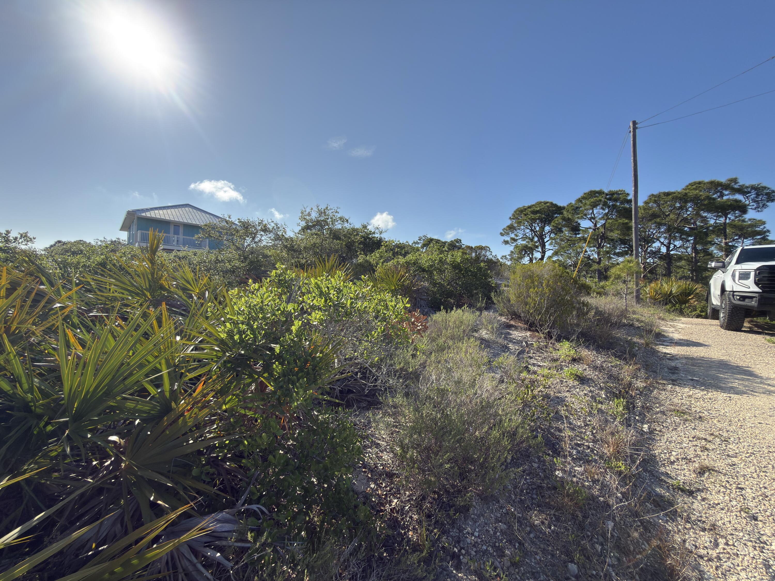 105 Sand Trace Drive