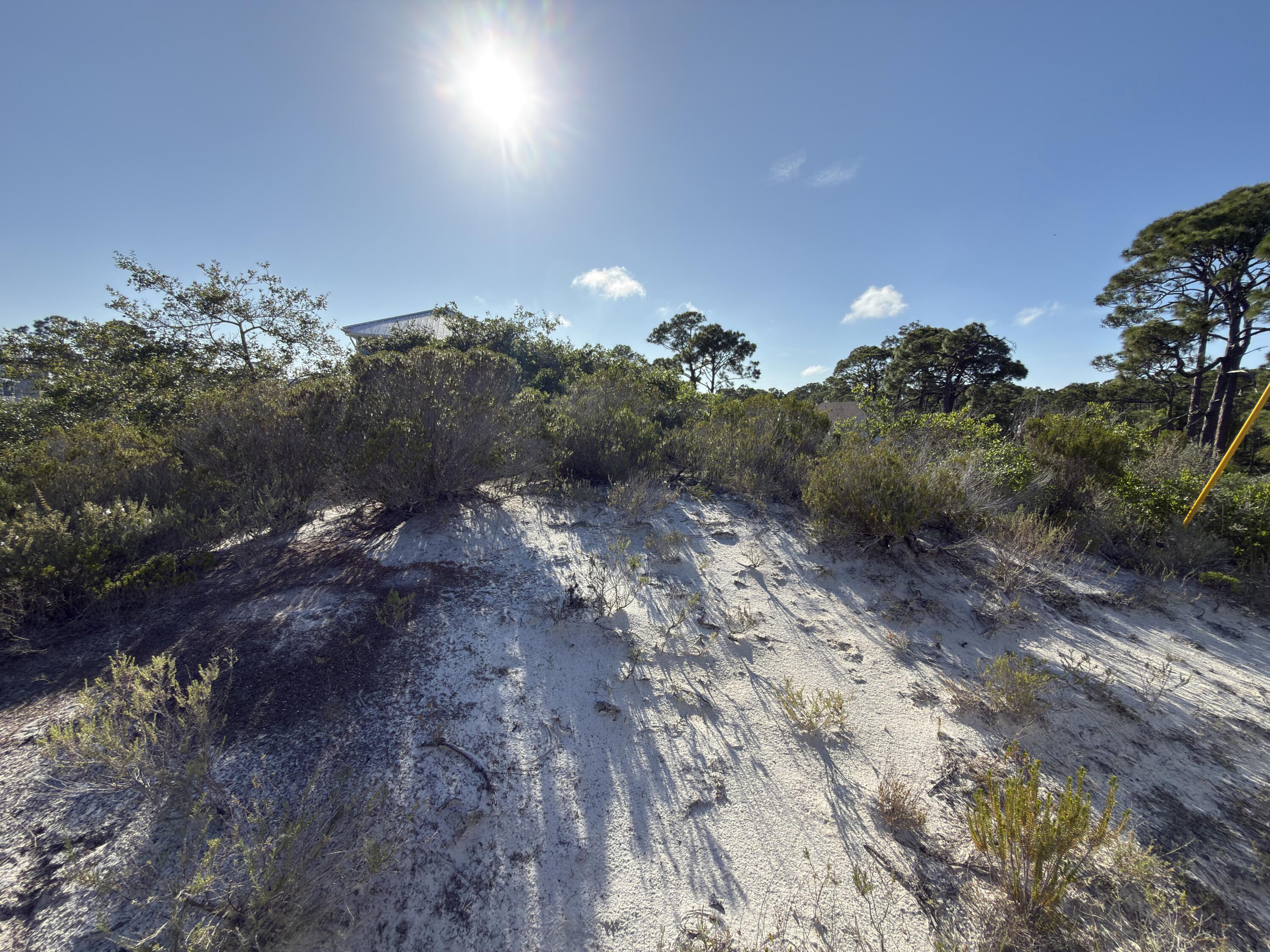 105 Sand Trace Drive