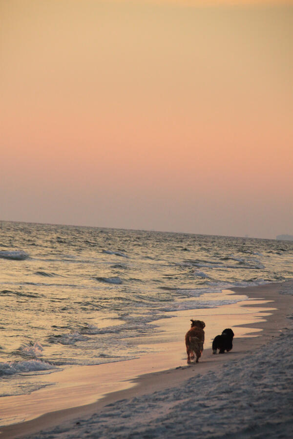 MAGNOLIA BEACH - Land