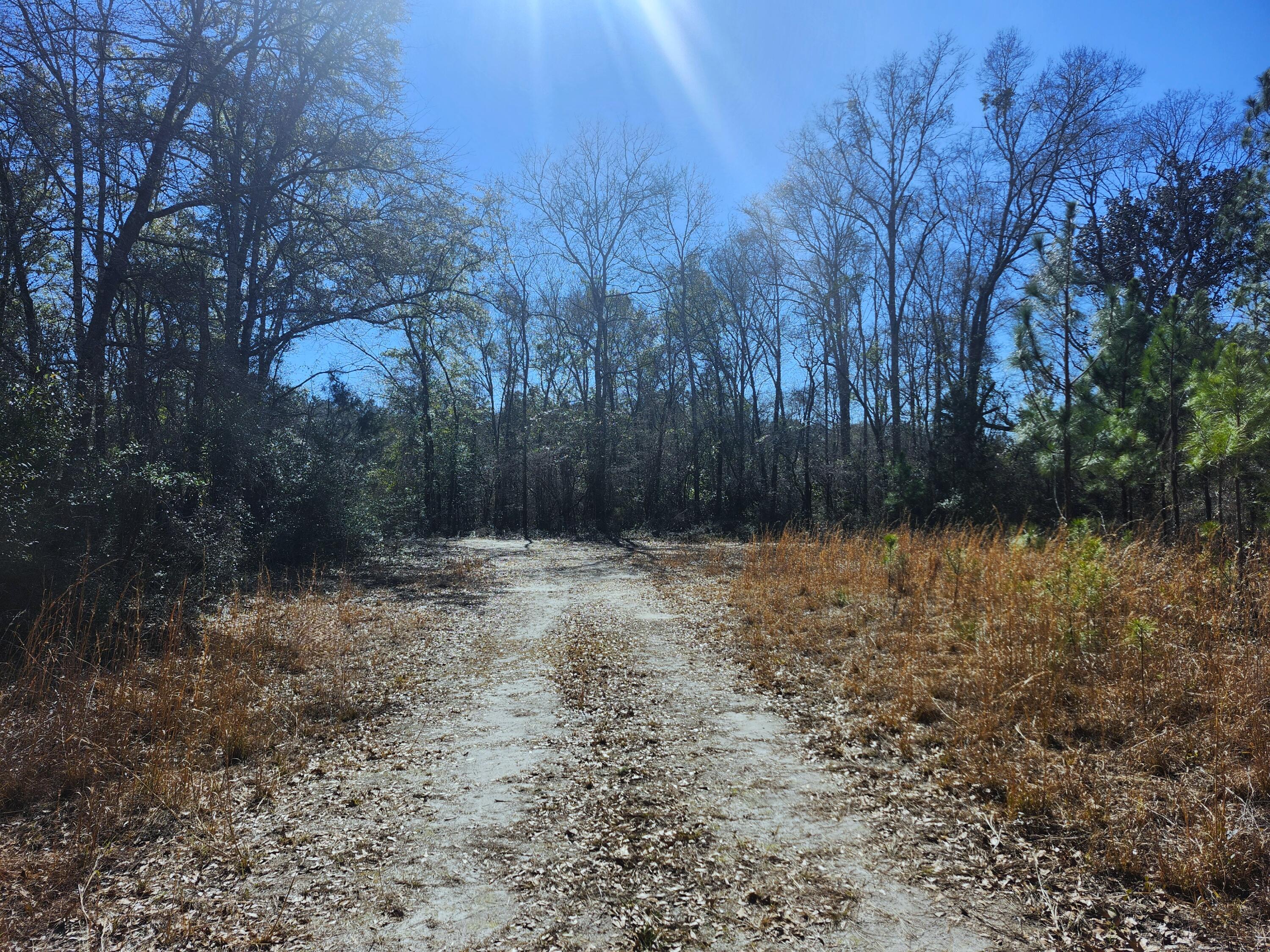 METES & BOUNDS - Land