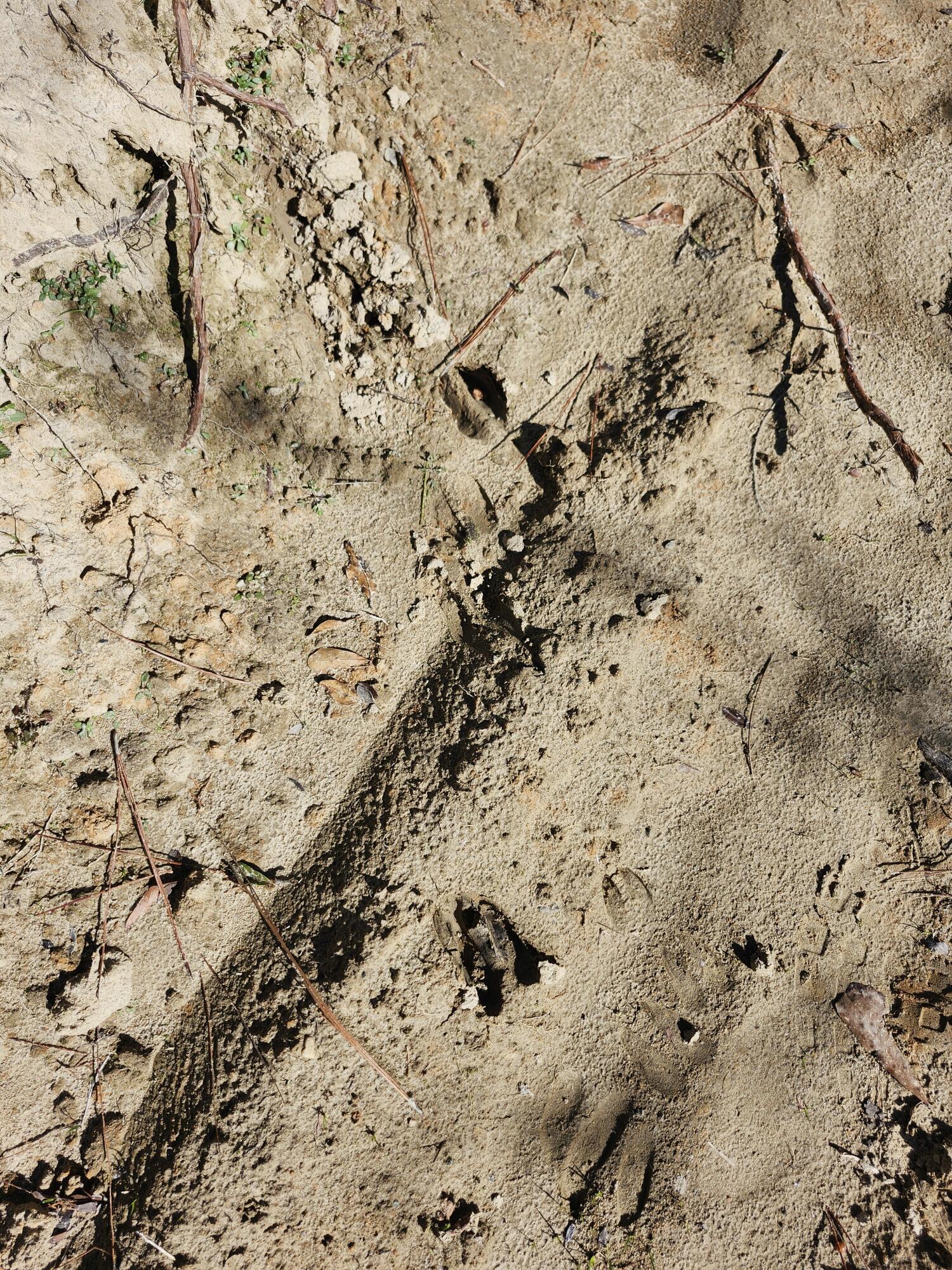 METES & BOUNDS - Land