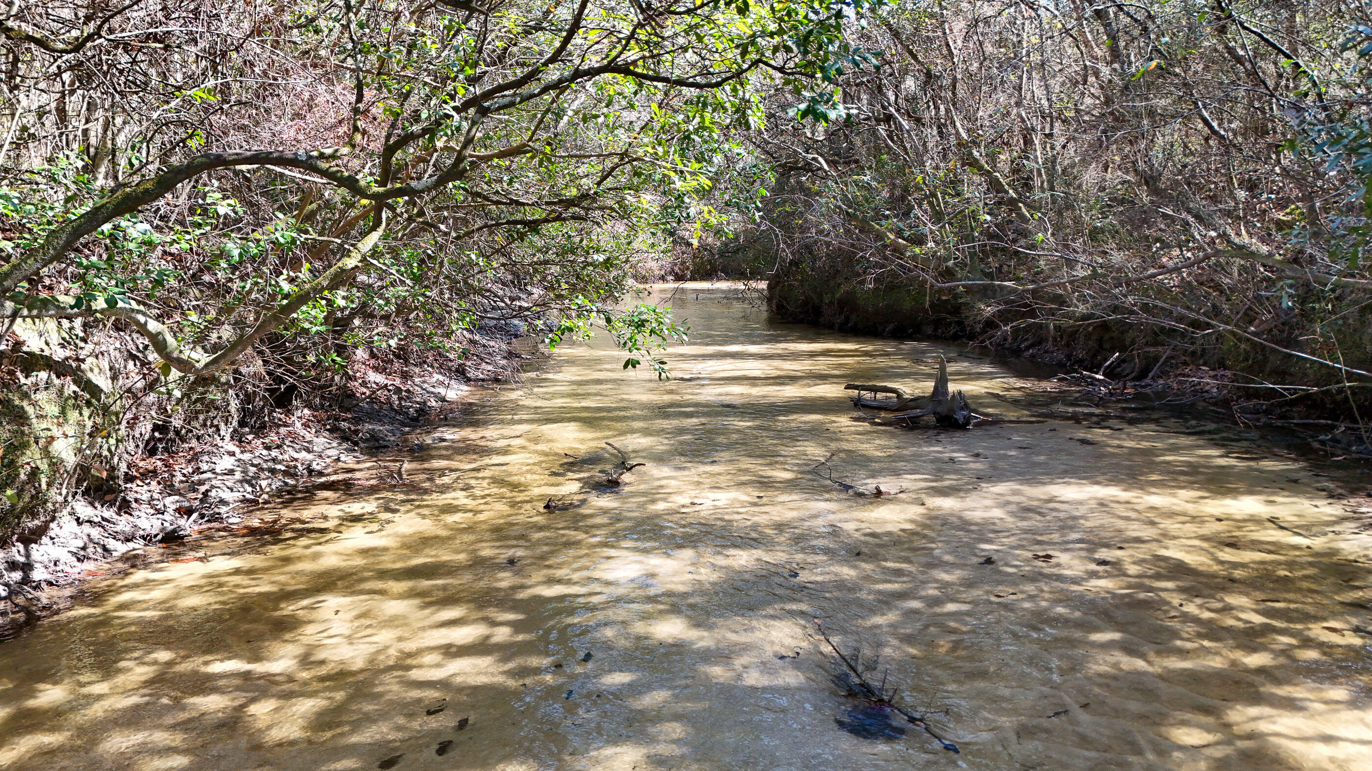 METES & BOUNDS - Land