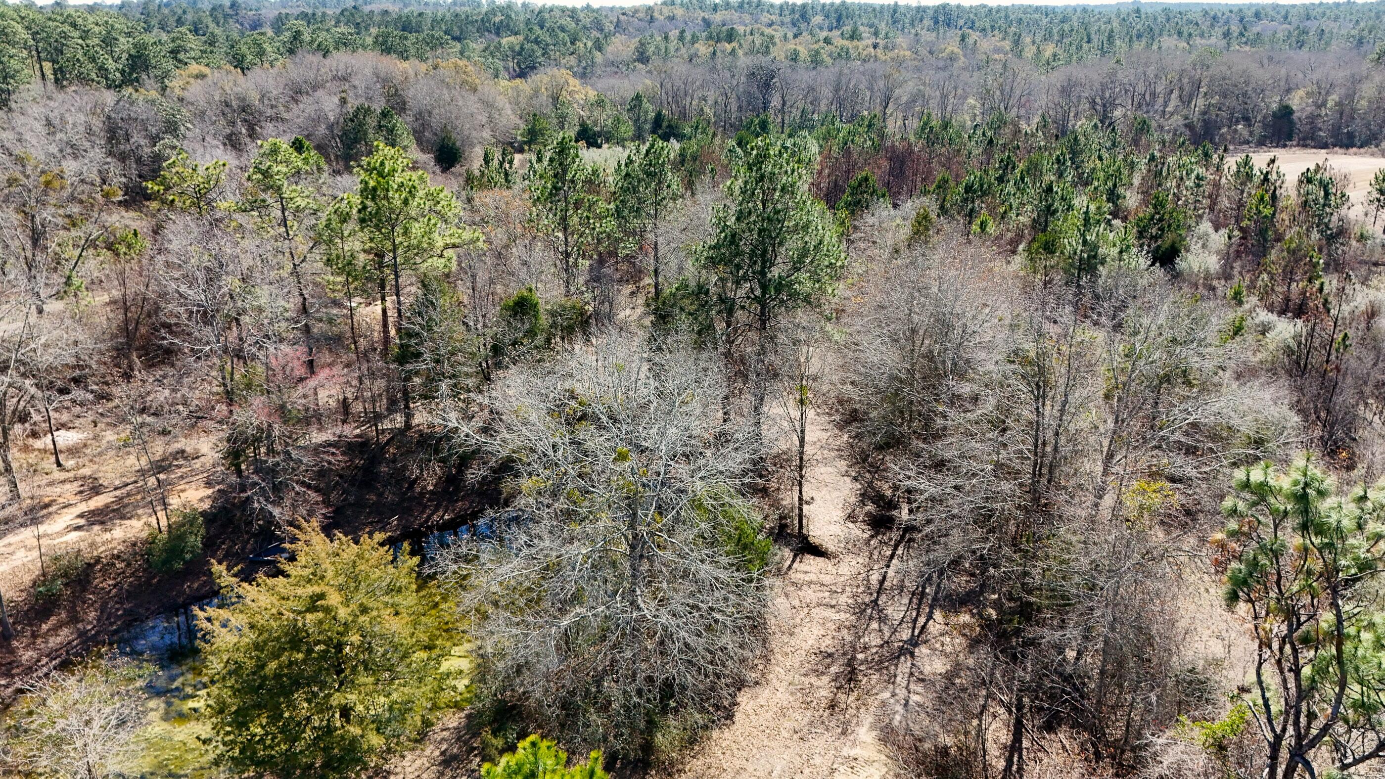 METES & BOUNDS - Land