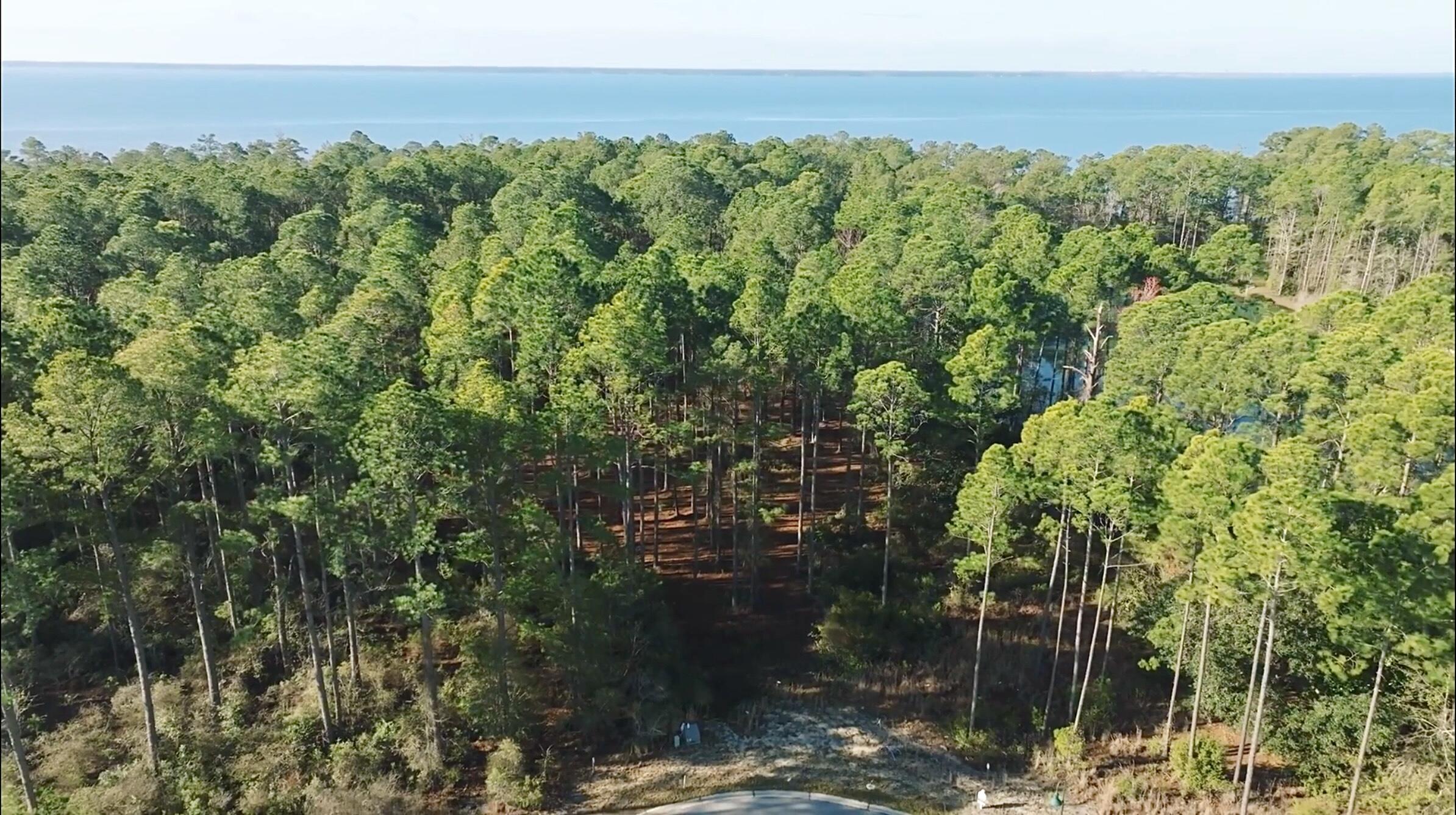STEAMBOAT LANDING AT HAMMOCK BAY - Land