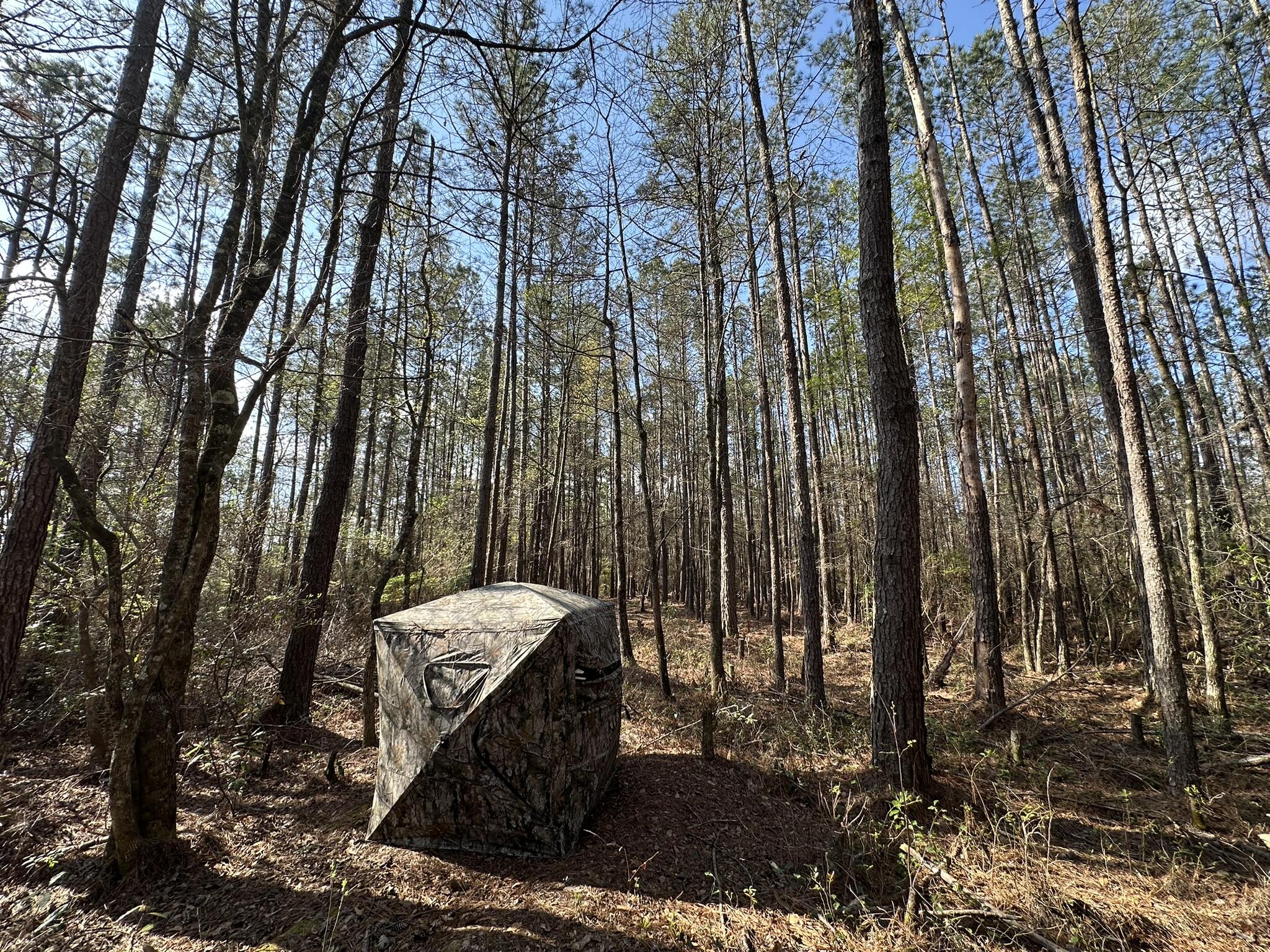 No Named Subdivision - Land