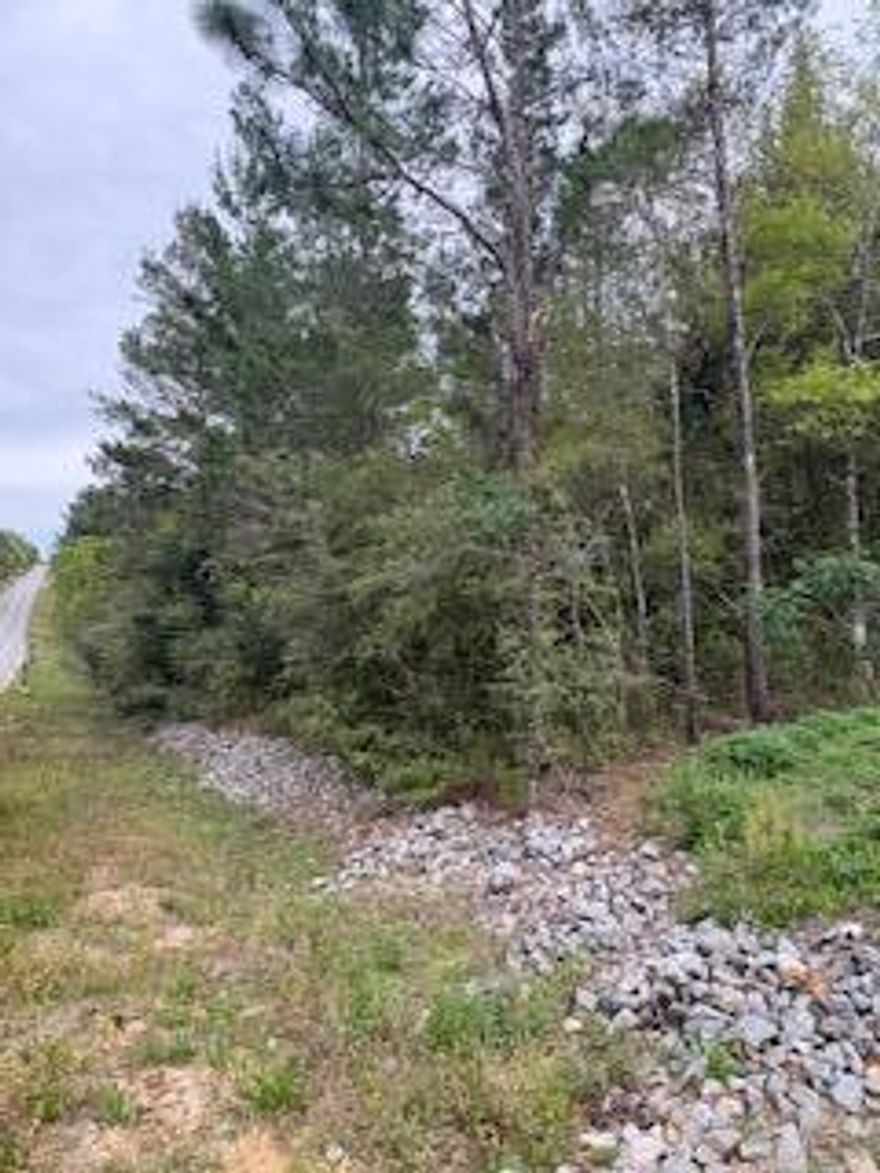 Great lot on top of a hill! There are several lakes with one being part of the newly renovated Walton County Park. So bring your kayak, canoe, fishing poles or beach chair.