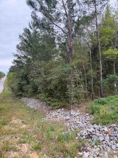 Lot 4 W Violet West DeFuniak Springs FL 32433