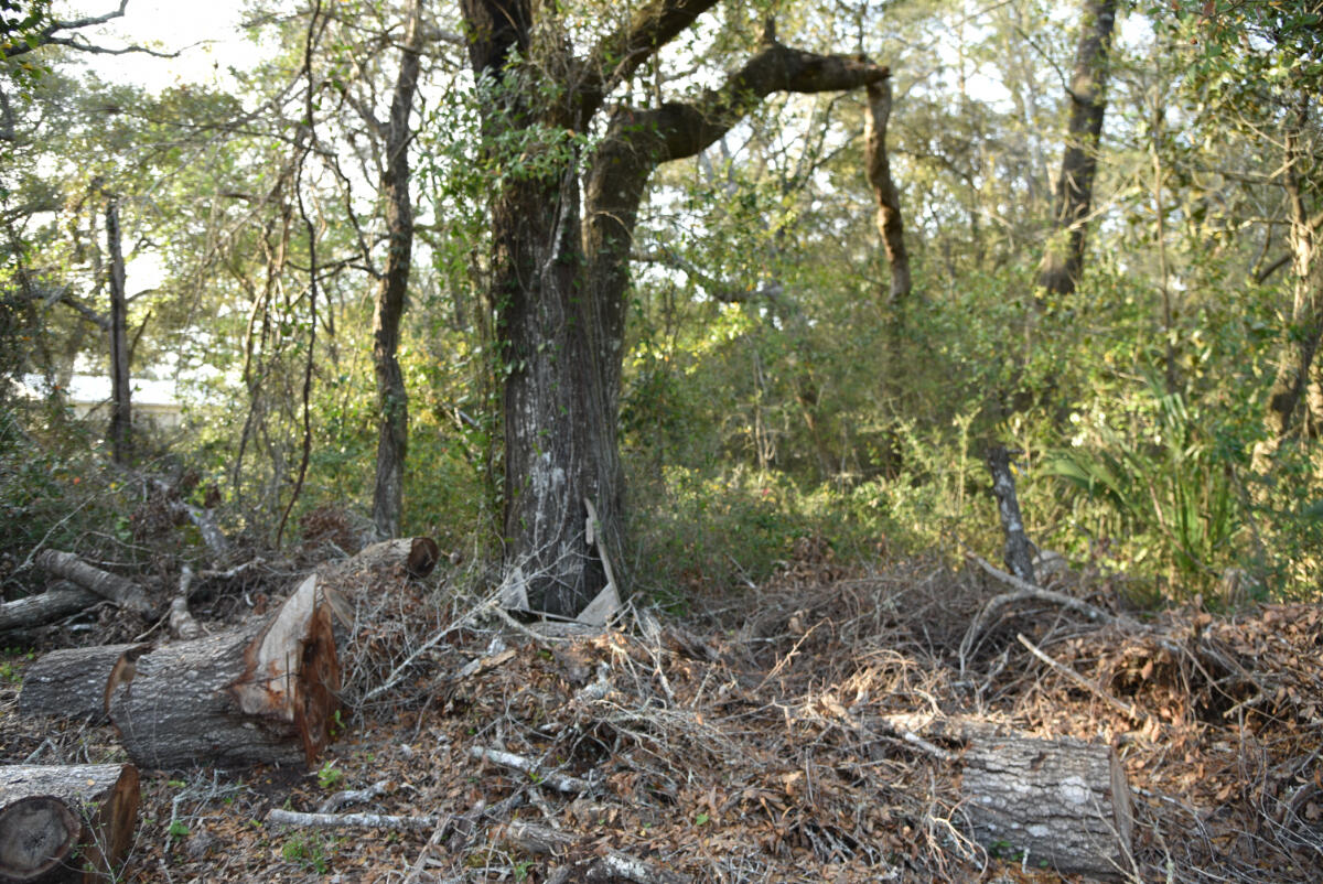 BRIARWOOD S/D - Land