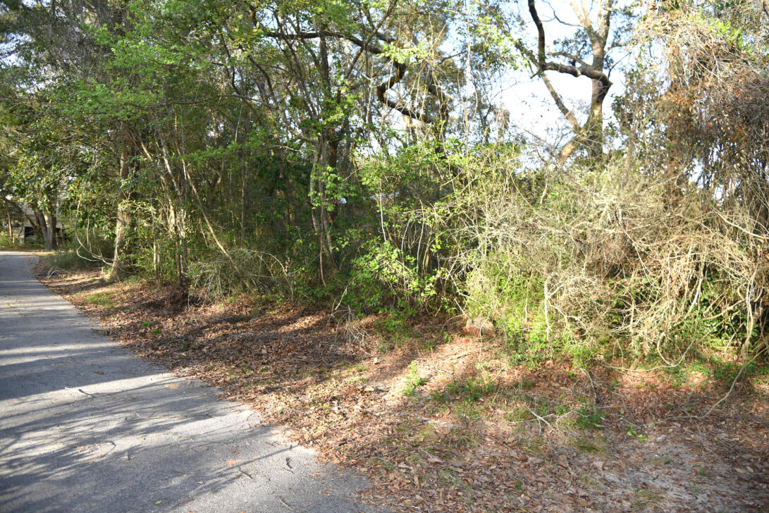 BRIARWOOD S/D - Land