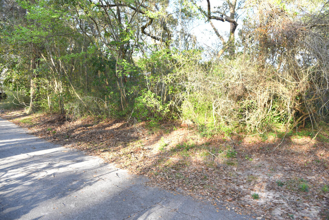 BRIARWOOD S/D - Land