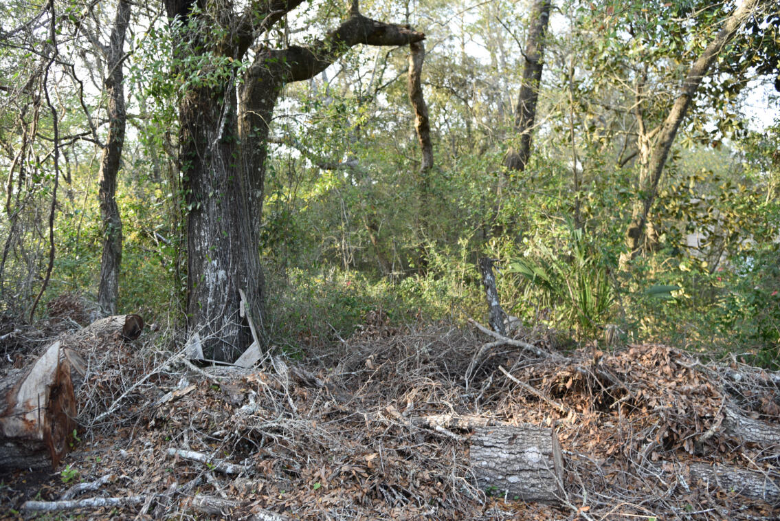 BRIARWOOD S/D - Land