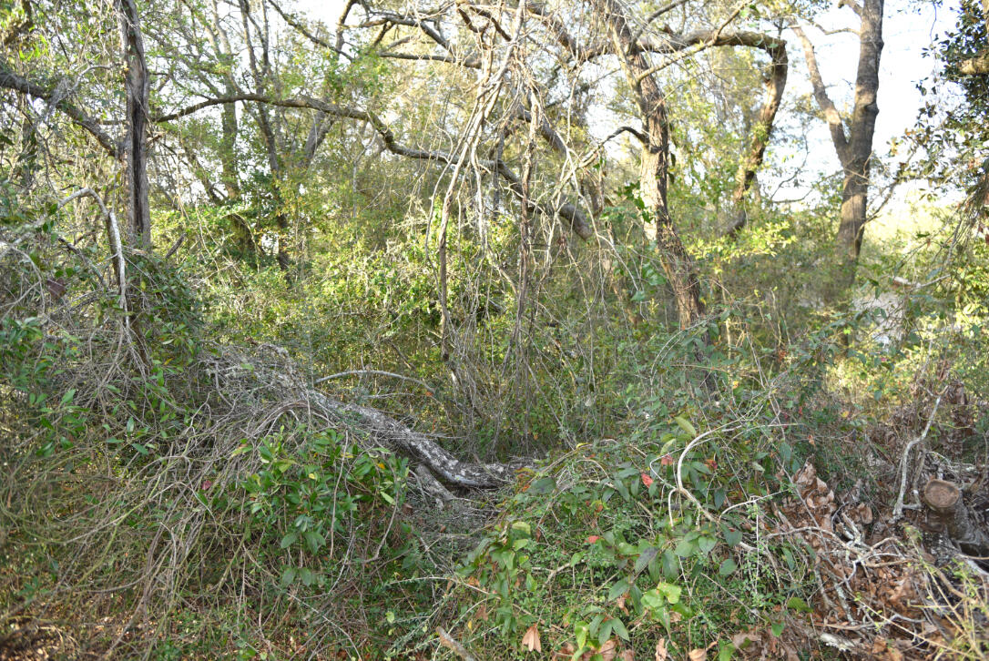 BRIARWOOD S/D - Land