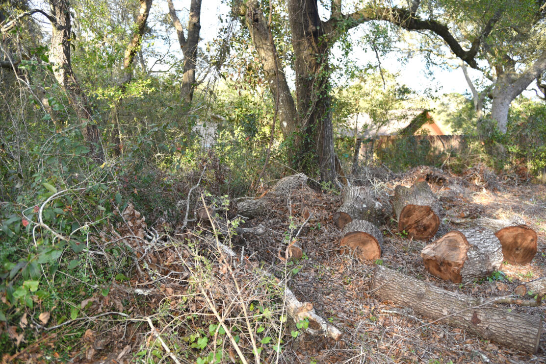 BRIARWOOD S/D - Land